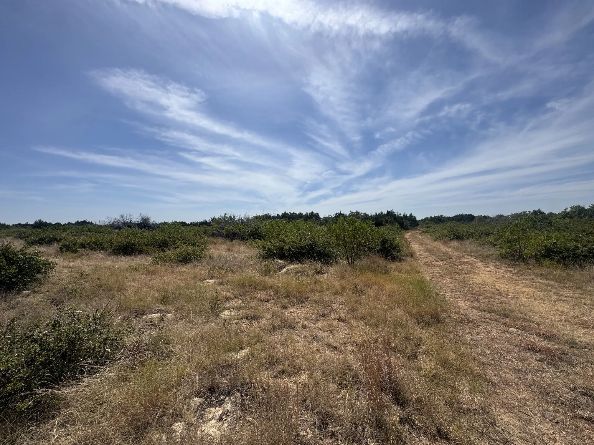 Unimproved Land For Sale in Eastland County , TBD Georgia Pass, Desdemona, Texas 76445, 0, 0, Garage spaces, 0 Sqft, built in 0, mls#21352126, Real Estate Agent in Desdemona, Homes For Sale in Eastland county, Homes For Sale in Desdemona, Realtor in Desdemona Texas, Real Estate Brokerage Independent Realty Texas, Luminita Cordes Realtor