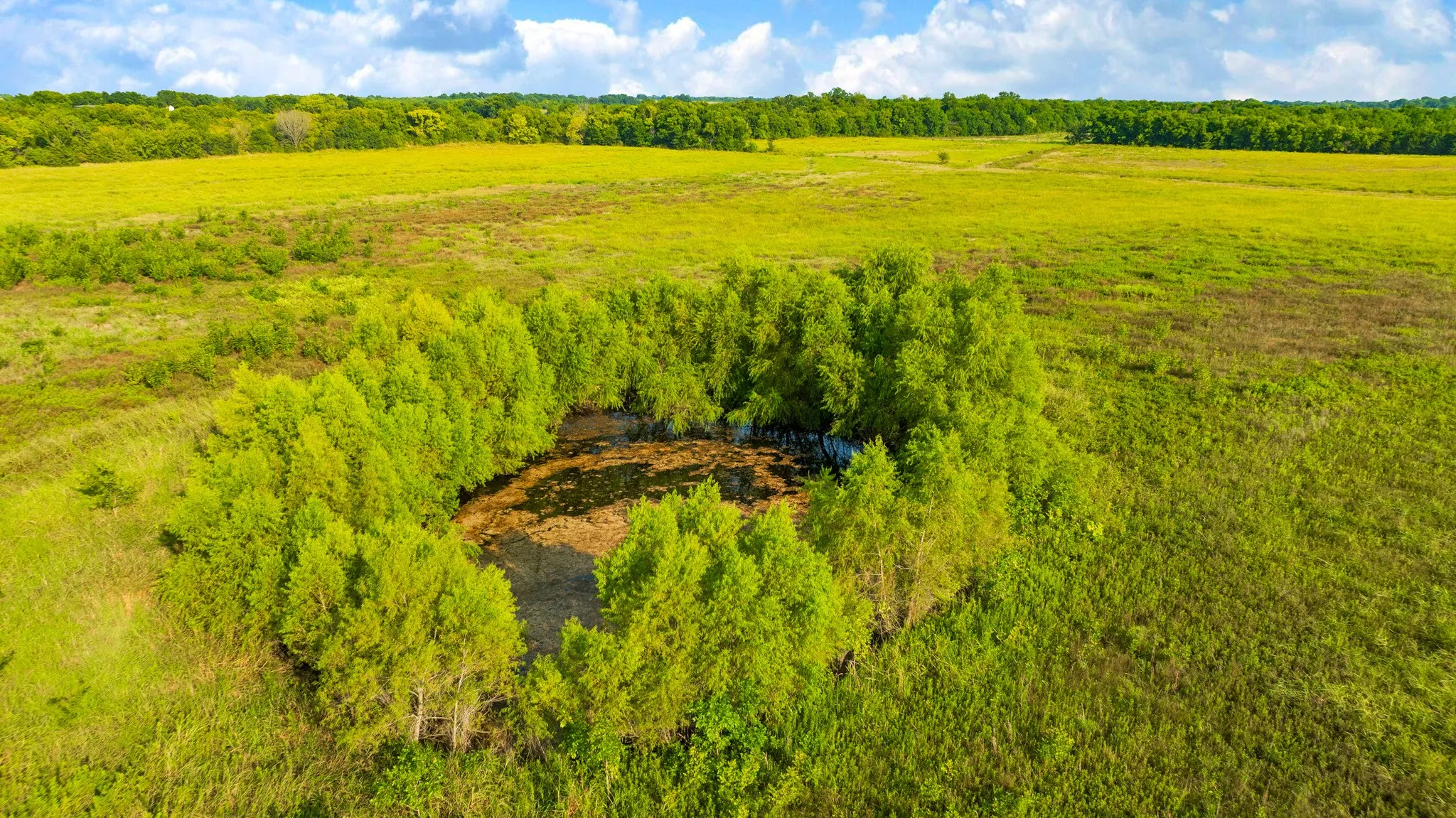 Unimproved Land For Sale in Lamar County , 0000 County Road 25200, Roxton, Texas 75435, 0, 0, Garage spaces, 0 Sqft, built in 0, Price $434,000, mls#21350466, Real Estate Agent in Roxton, Homes For Sale in Lamar county, Homes For Sale in Roxton, Realtor in Roxton Texas, Real Estate Brokerage Independent Realty Texas, Luminita Cordes Realtor