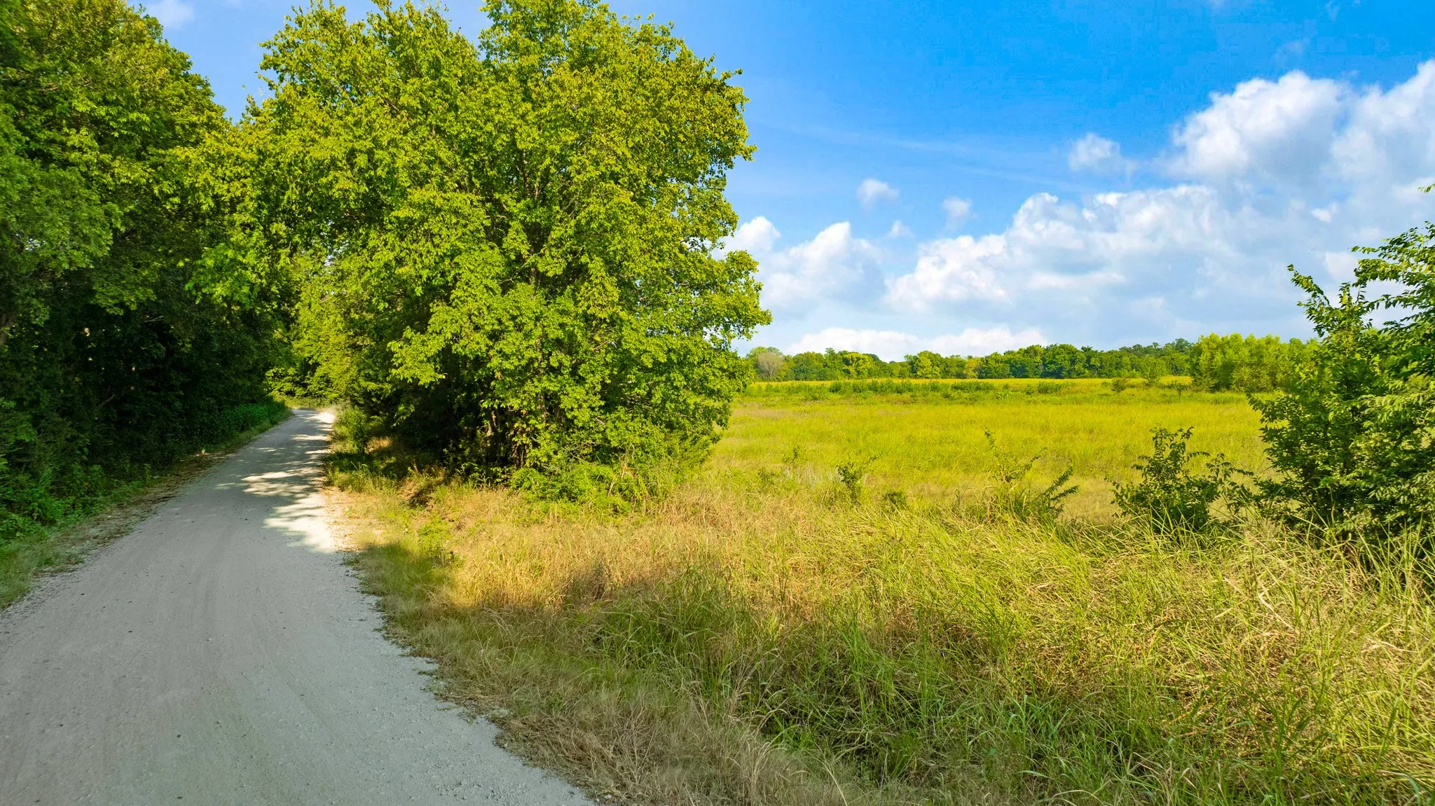 Unimproved Land For Sale in Lamar County , 0000 County Road 25200, Roxton, Texas 75435, 0, 0, Garage spaces, 0 Sqft, built in 0, Price $434,000, mls#21350466, Real Estate Agent in Roxton, Homes For Sale in Lamar county, Homes For Sale in Roxton, Realtor in Roxton Texas, Real Estate Brokerage Independent Realty Texas, Luminita Cordes Realtor