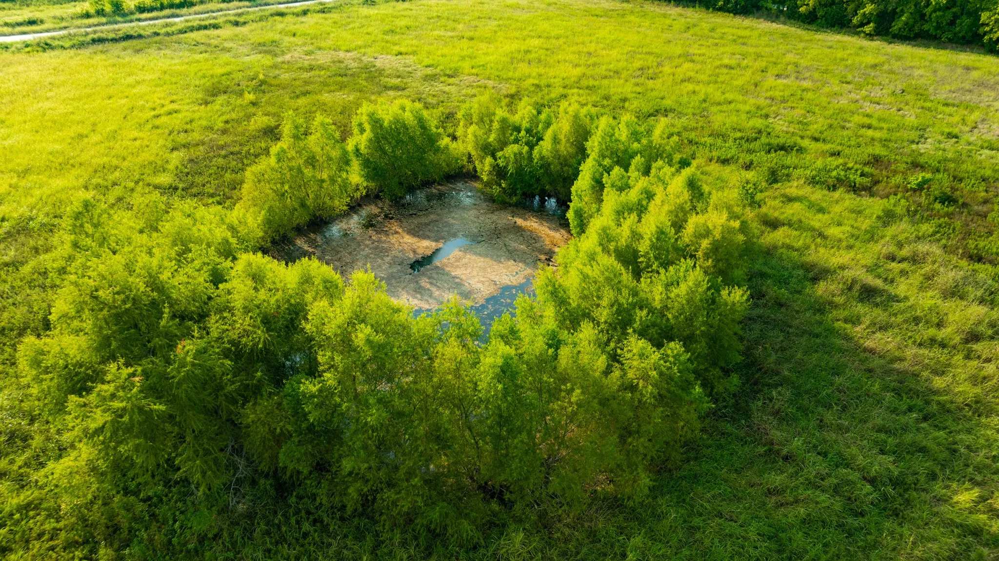 Unimproved Land For Sale in Lamar County , 0000 County Road 25200, Roxton, Texas 75435, 0, 0, Garage spaces, 0 Sqft, built in 0, Price $434,000, mls#21350466, Real Estate Agent in Roxton, Homes For Sale in Lamar county, Homes For Sale in Roxton, Realtor in Roxton Texas, Real Estate Brokerage Independent Realty Texas, Luminita Cordes Realtor