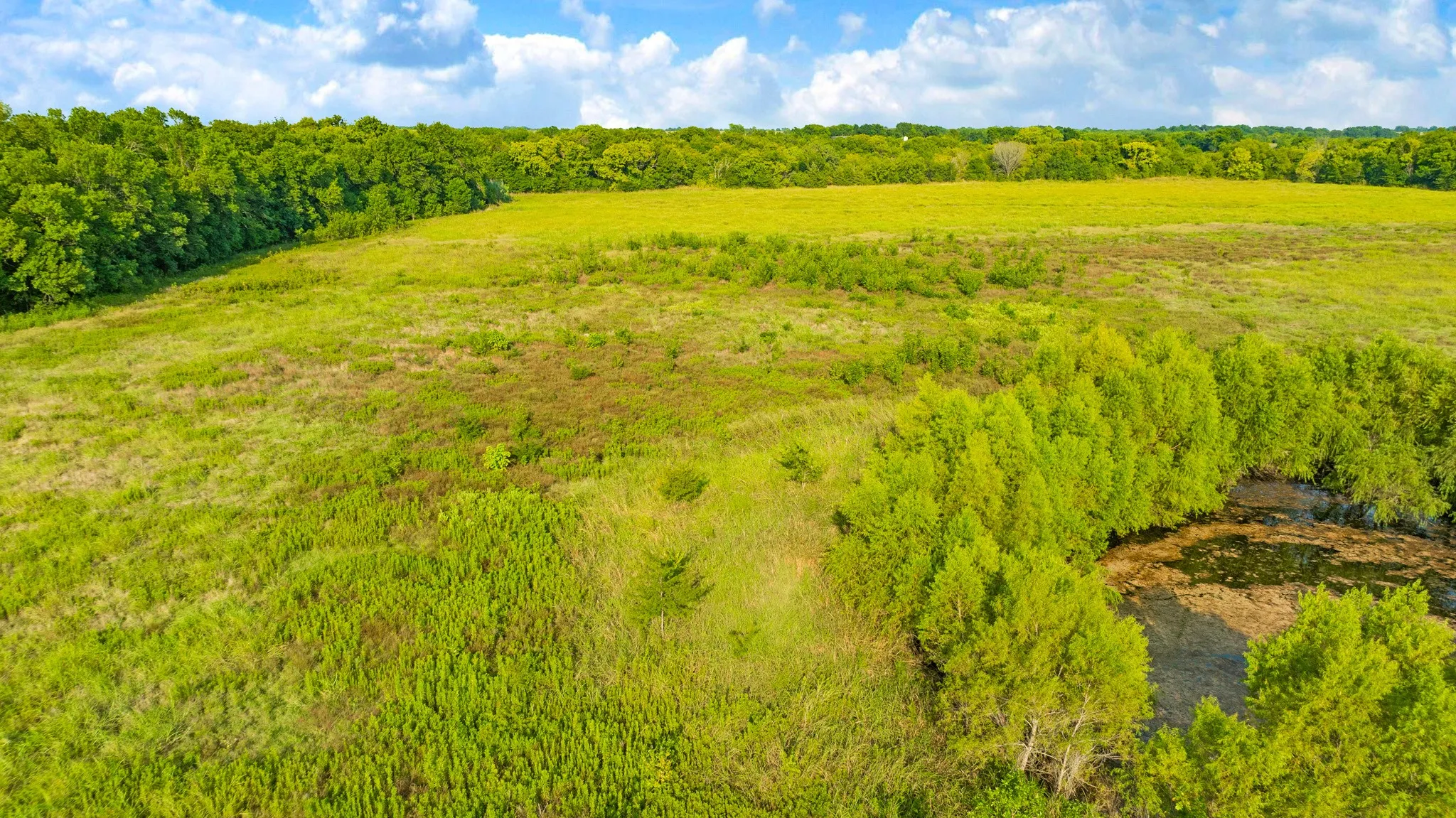 Unimproved Land For Sale in Lamar County , 0000 County Road 25200, Roxton, Texas 75435, 0, 0, Garage spaces, 0 Sqft, built in 0, Price $434,000, mls#21350466, Real Estate Agent in Roxton, Homes For Sale in Lamar county, Homes For Sale in Roxton, Realtor in Roxton Texas, Real Estate Brokerage Independent Realty Texas, Luminita Cordes Realtor