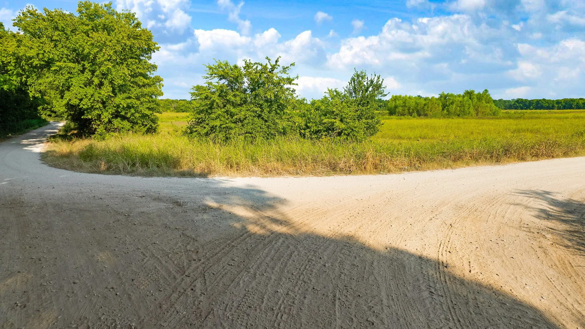 Unimproved Land For Sale in Lamar County , 0000 County Road 25200, Roxton, Texas 75435, 0, 0, Garage spaces, 0 Sqft, built in 0, Price $434,000, mls#21350466, Real Estate Agent in Roxton, Homes For Sale in Lamar county, Homes For Sale in Roxton, Realtor in Roxton Texas, Real Estate Brokerage Independent Realty Texas, Luminita Cordes Realtor