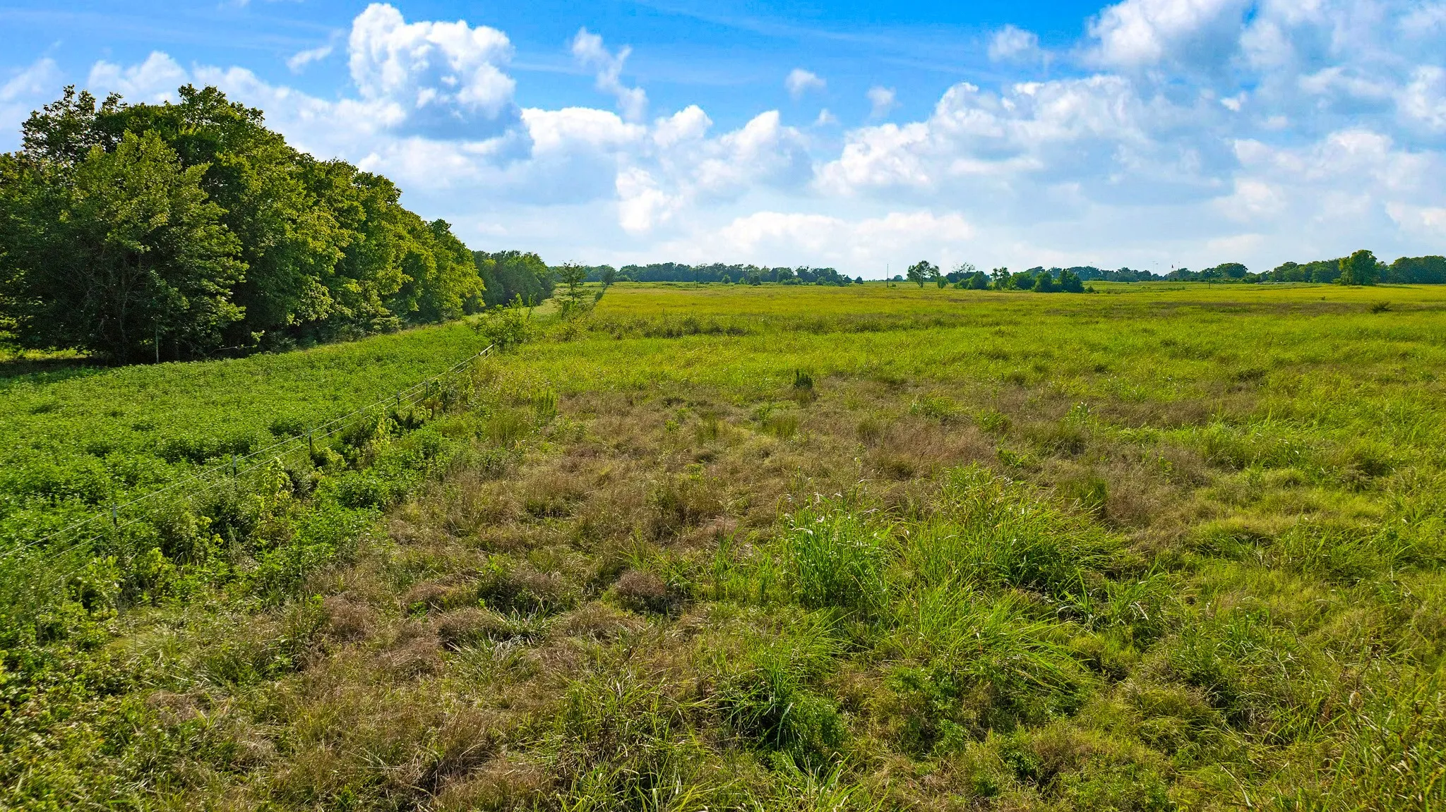 Unimproved Land For Sale in Lamar County , 0000 County Road 25200, Roxton, Texas 75435, 0, 0, Garage spaces, 0 Sqft, built in 0, Price $434,000, mls#21350466, Real Estate Agent in Roxton, Homes For Sale in Lamar county, Homes For Sale in Roxton, Realtor in Roxton Texas, Real Estate Brokerage Independent Realty Texas, Luminita Cordes Realtor
