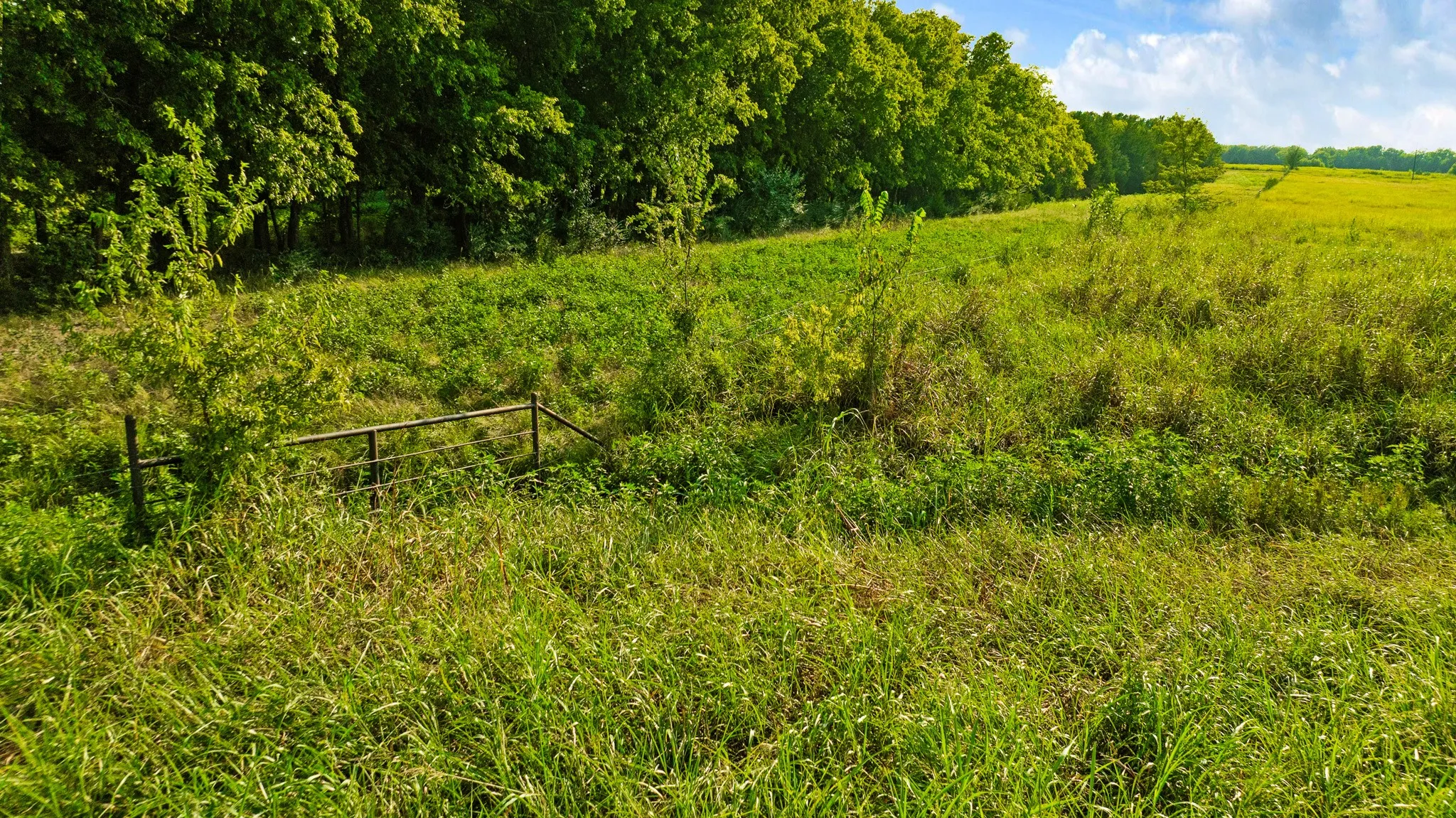 Unimproved Land For Sale in Lamar County , 0000 County Road 25200, Roxton, Texas 75435, 0, 0, Garage spaces, 0 Sqft, built in 0, Price $434,000, mls#21350466, Real Estate Agent in Roxton, Homes For Sale in Lamar county, Homes For Sale in Roxton, Realtor in Roxton Texas, Real Estate Brokerage Independent Realty Texas, Luminita Cordes Realtor