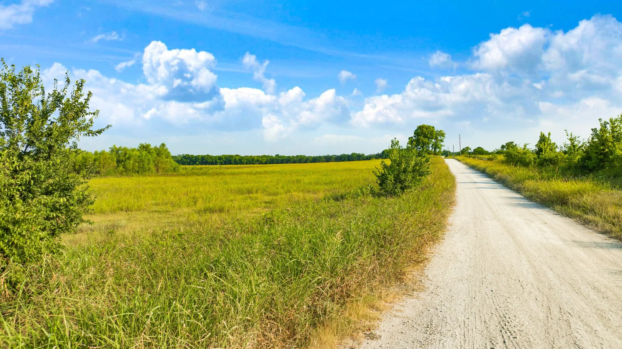 Unimproved Land For Sale in Lamar County , 0000 County Road 25200, Roxton, Texas 75435, 0, 0, Garage spaces, 0 Sqft, built in 0, Price $434,000, mls#21350466, Real Estate Agent in Roxton, Homes For Sale in Lamar county, Homes For Sale in Roxton, Realtor in Roxton Texas, Real Estate Brokerage Independent Realty Texas, Luminita Cordes Realtor