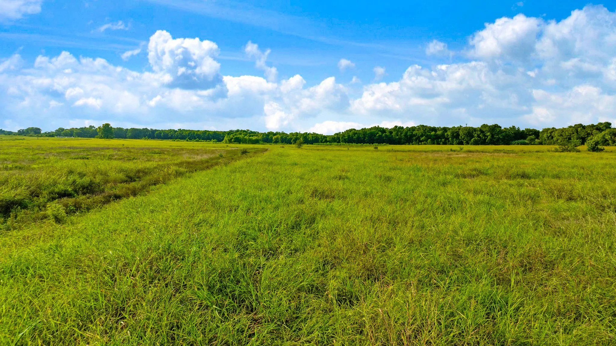 Unimproved Land For Sale in Lamar County , 0000 County Road 25200, Roxton, Texas 75435, 0, 0, Garage spaces, 0 Sqft, built in 0, Price $434,000, mls#21350466, Real Estate Agent in Roxton, Homes For Sale in Lamar county, Homes For Sale in Roxton, Realtor in Roxton Texas, Real Estate Brokerage Independent Realty Texas, Luminita Cordes Realtor