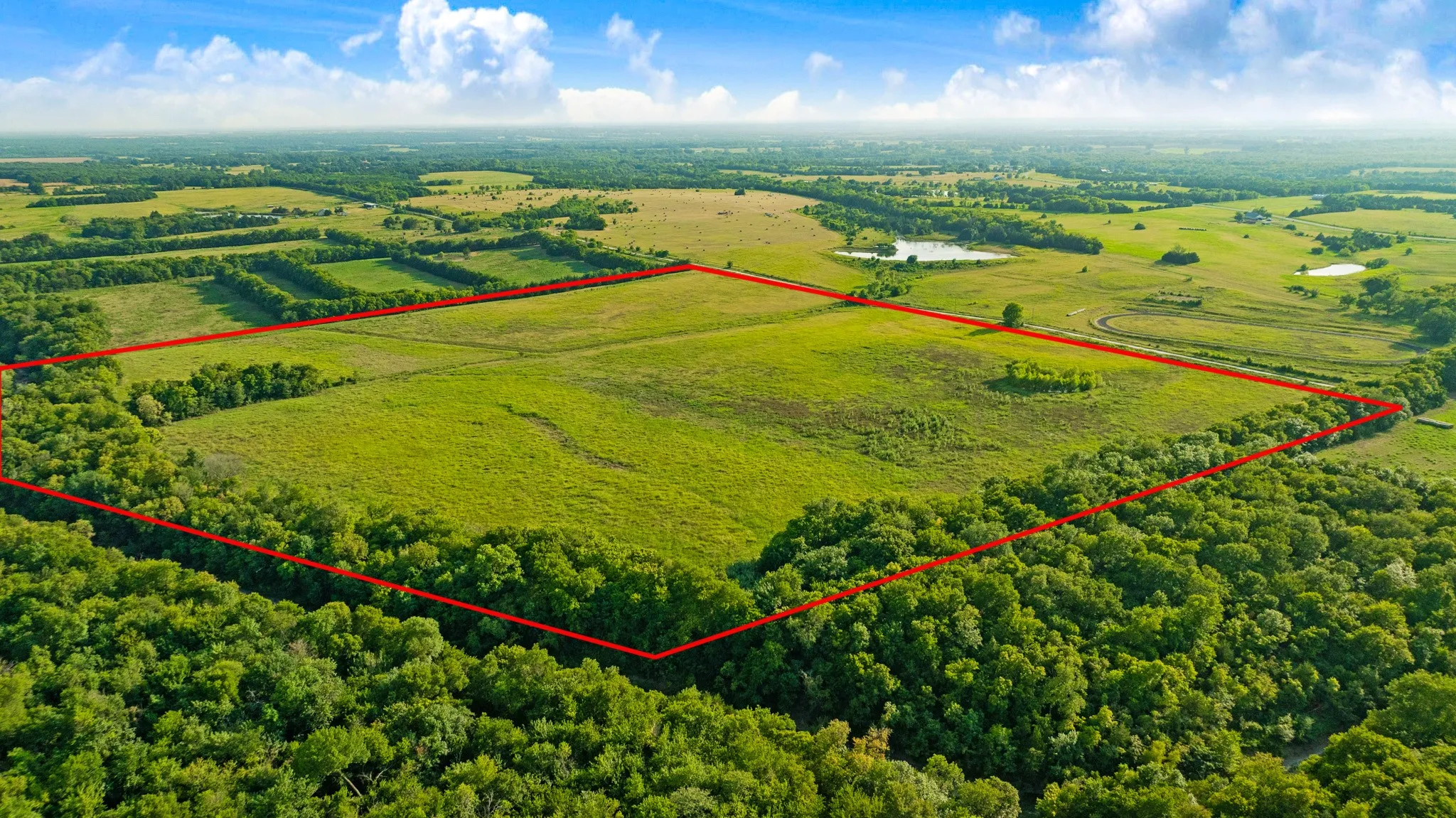 Unimproved Land For Sale in Lamar County , 0000 County Road 25200, Roxton, Texas 75435, 0, 0, Garage spaces, 0 Sqft, built in 0, Price $434,000, mls#21350466, Real Estate Agent in Roxton, Homes For Sale in Lamar county, Homes For Sale in Roxton, Realtor in Roxton Texas, Real Estate Brokerage Independent Realty Texas, Luminita Cordes Realtor