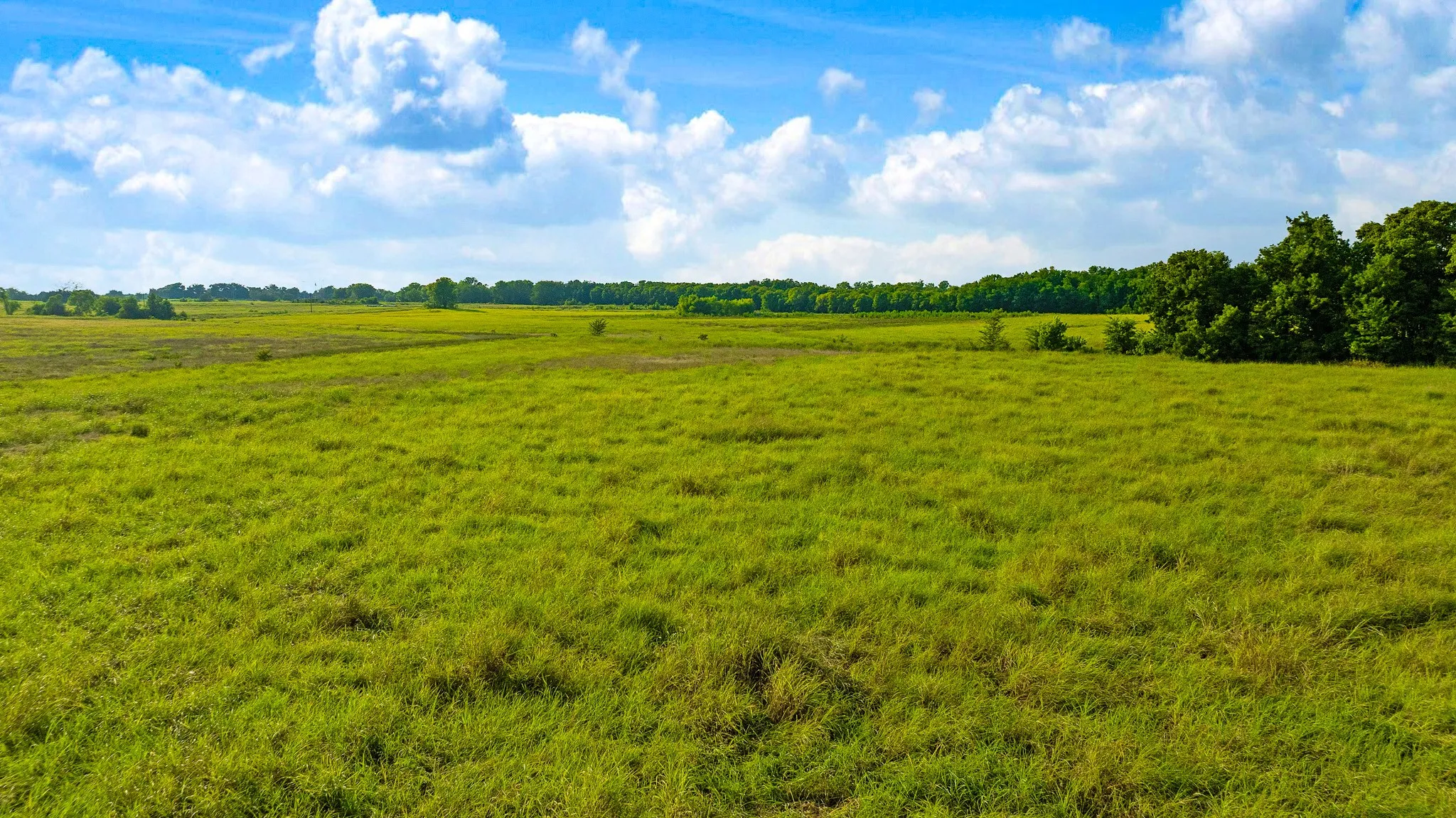 Unimproved Land For Sale in Lamar County , 0000 County Road 25200, Roxton, Texas 75435, 0, 0, Garage spaces, 0 Sqft, built in 0, Price $434,000, mls#21350466, Real Estate Agent in Roxton, Homes For Sale in Lamar county, Homes For Sale in Roxton, Realtor in Roxton Texas, Real Estate Brokerage Independent Realty Texas, Luminita Cordes Realtor