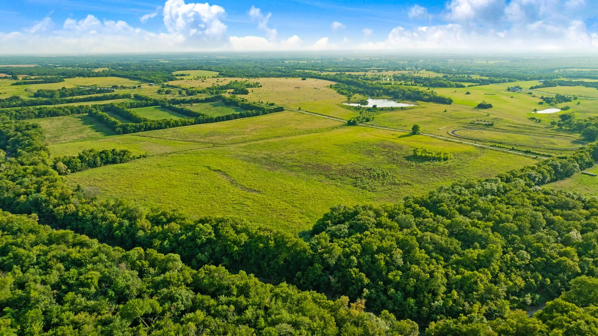 Unimproved Land For Sale in Lamar County , 0000 County Road 25200, Roxton, Texas 75435, 0, 0, Garage spaces, 0 Sqft, built in 0, Price $434,000, mls#21350466, Real Estate Agent in Roxton, Homes For Sale in Lamar county, Homes For Sale in Roxton, Realtor in Roxton Texas, Real Estate Brokerage Independent Realty Texas, Luminita Cordes Realtor