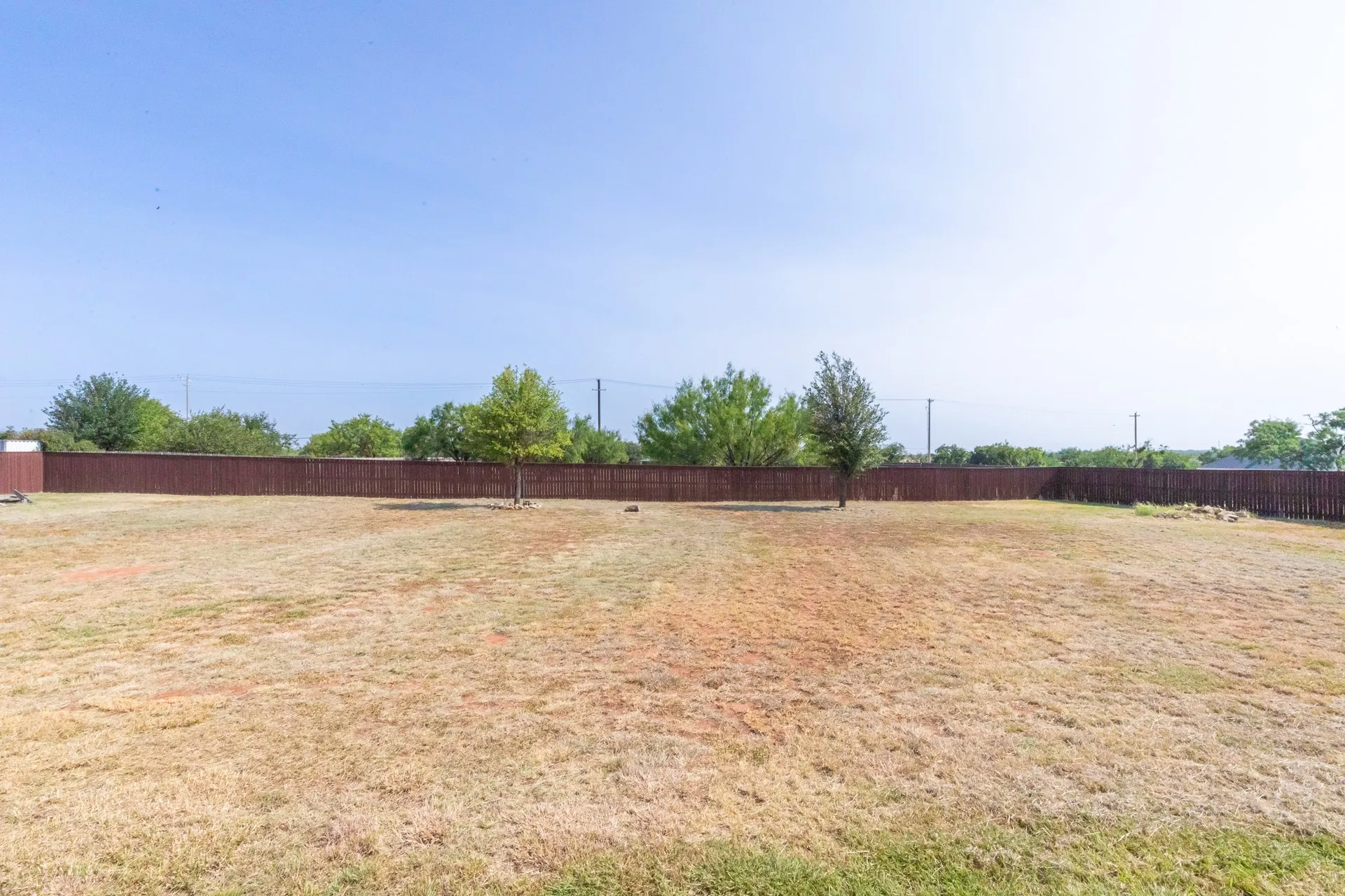 Expansive backyard featuring a stained wood privacy fence, two young trees, and a small storage shed