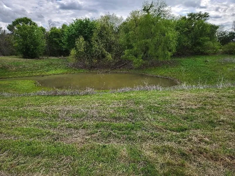 Unimproved Land For Sale in Parker County , 130 Brown Creek Road, Weatherford, Texas 76085, 0, 0, Garage spaces, 0 Sqft, built in 0, mls#21351952, Real Estate Agent in Weatherford, Homes For Sale in Parker county, Homes For Sale in Weatherford, Realtor in Weatherford Texas, Real Estate Brokerage Independent Realty Texas, Luminita Cordes Realtor