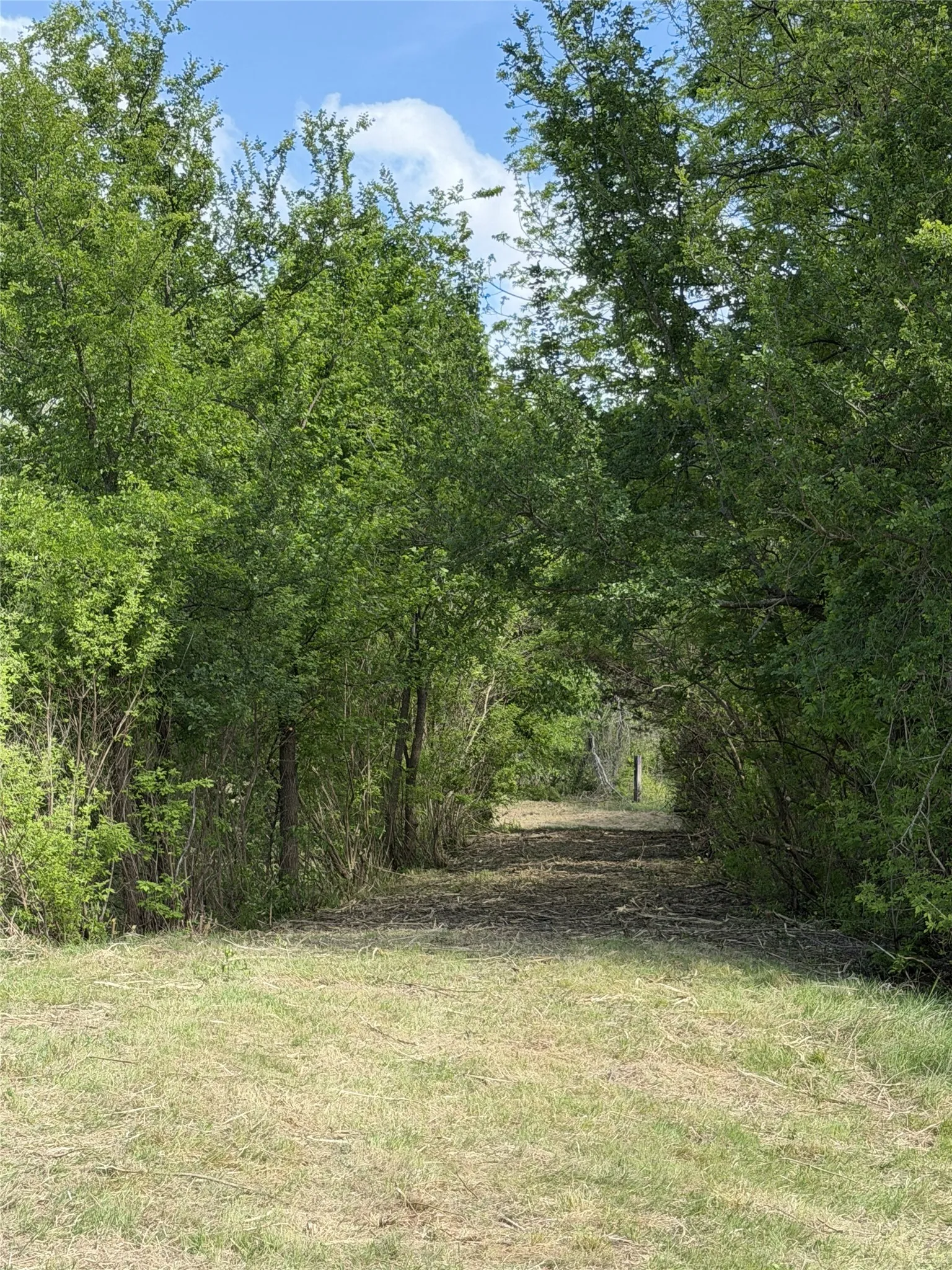 Unimproved Land For Sale in Parker County , 130 Brown Creek Road, Weatherford, Texas 76085, 0, 0, Garage spaces, 0 Sqft, built in 0, mls#21351952, Real Estate Agent in Weatherford, Homes For Sale in Parker county, Homes For Sale in Weatherford, Realtor in Weatherford Texas, Real Estate Brokerage Independent Realty Texas, Luminita Cordes Realtor