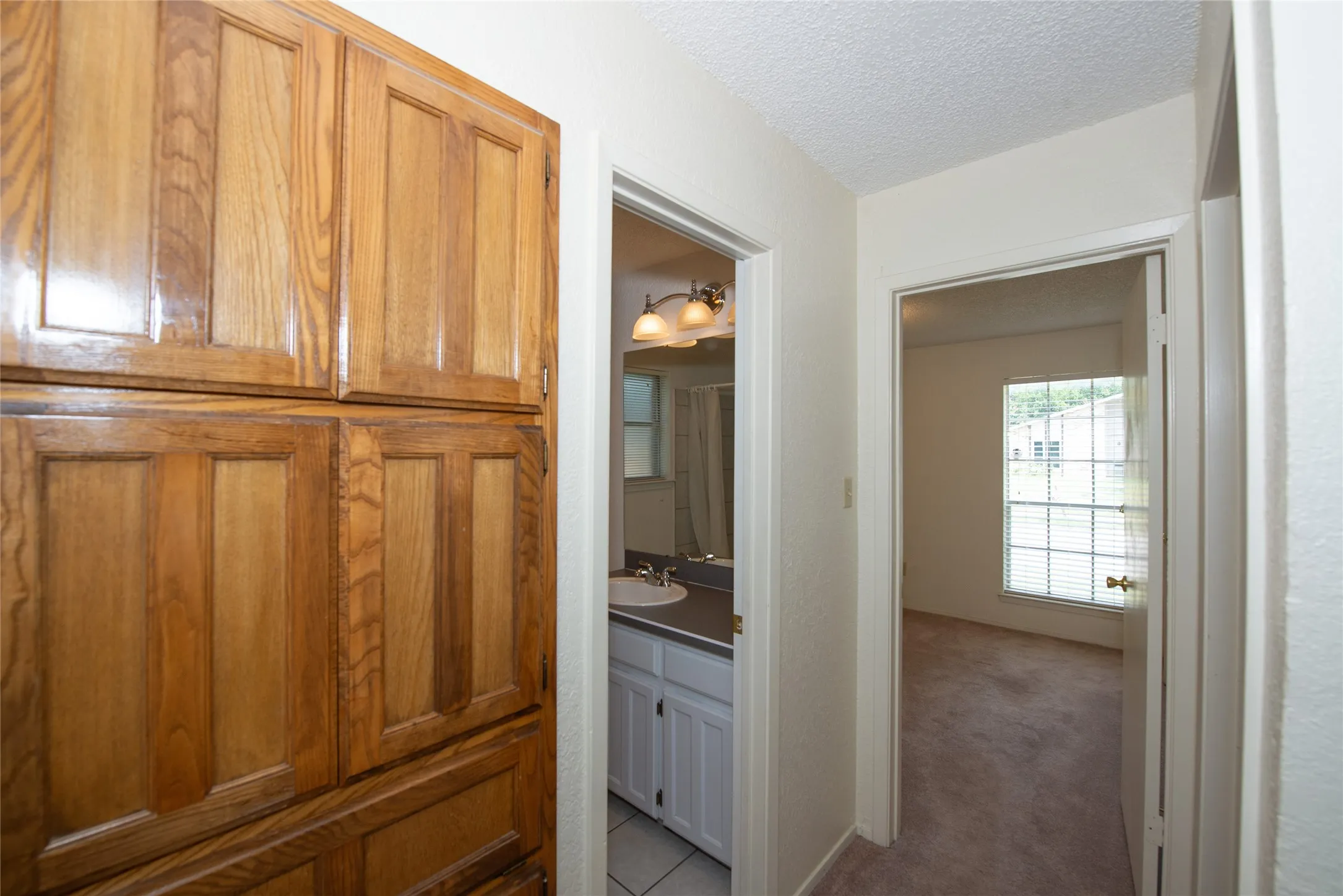 Hallway featuring wood-finish cabinetry, a carpeted floor, and access to additional rooms