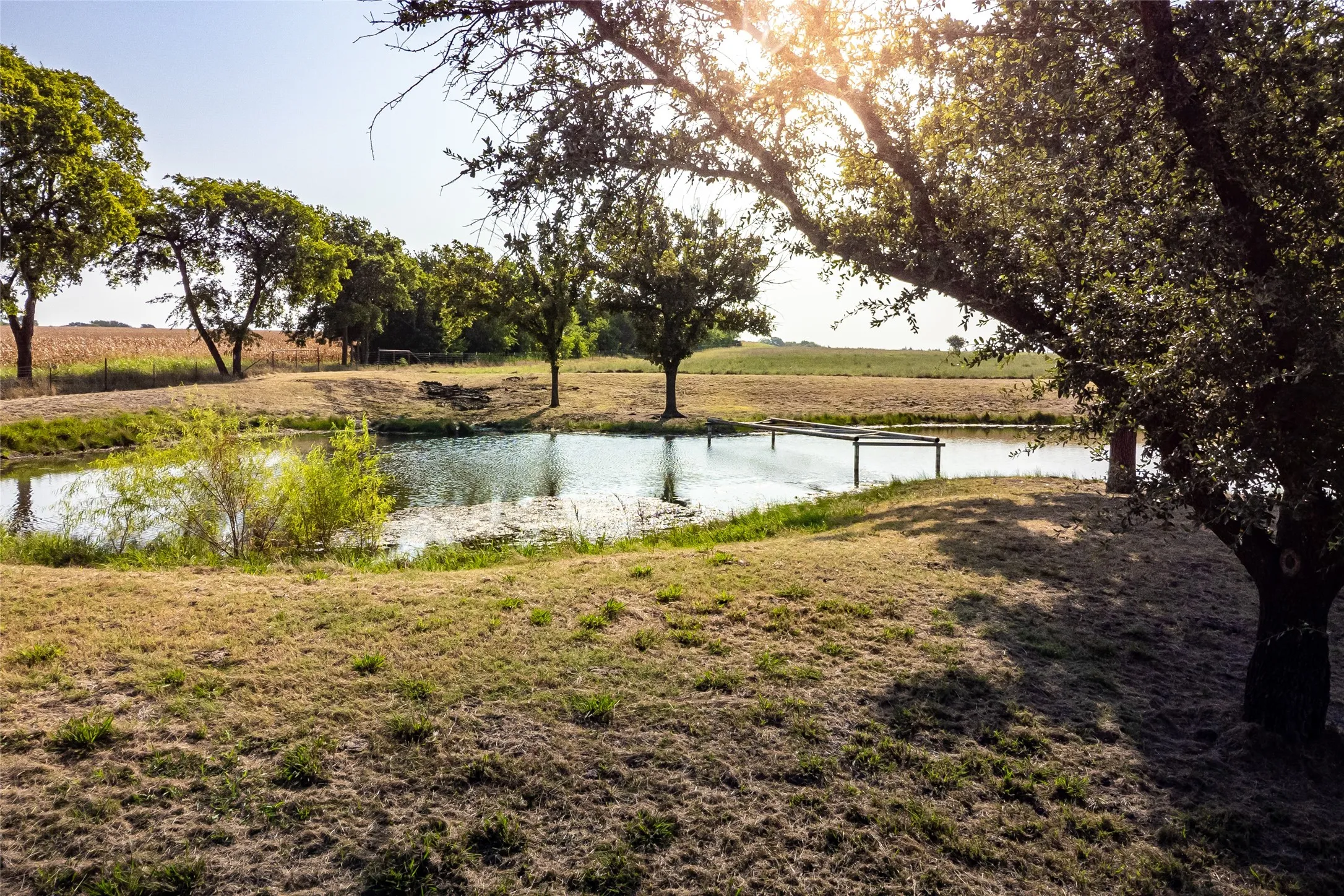 Unimproved Land For Sale in Fannin County , 1015 CR 5010, Blue Ridge, Texas 75424, 0, 0, Garage spaces, 0 Sqft, built in 0, mls#21352335, Real Estate Agent in Blue Ridge, Homes For Sale in Fannin county, Homes For Sale in Blue Ridge, Realtor in Blue Ridge Texas, Real Estate Brokerage Independent Realty Texas, Luminita Cordes Realtor