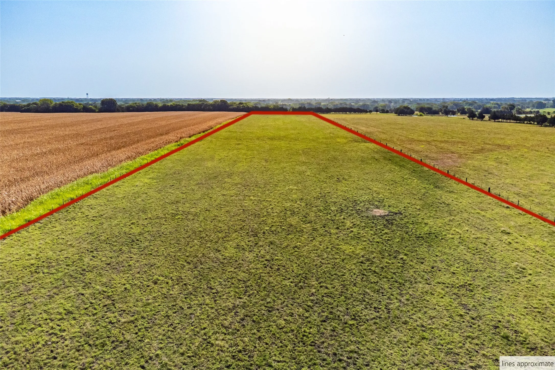 Unimproved Land For Sale in Fannin County , 1015 CR 5010, Blue Ridge, Texas 75424, 0, 0, Garage spaces, 0 Sqft, built in 0, mls#21352335, Real Estate Agent in Blue Ridge, Homes For Sale in Fannin county, Homes For Sale in Blue Ridge, Realtor in Blue Ridge Texas, Real Estate Brokerage Independent Realty Texas, Luminita Cordes Realtor