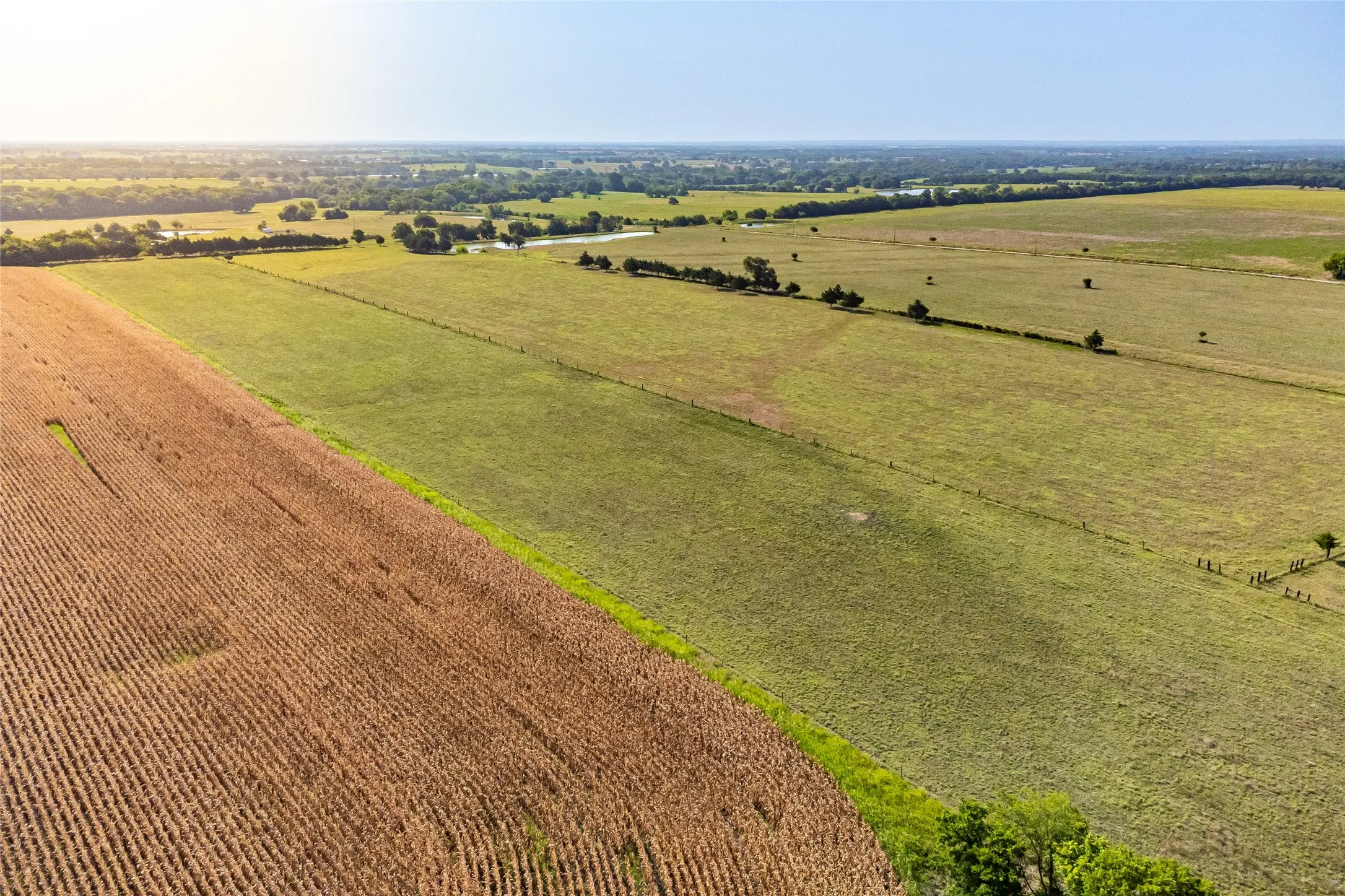 Unimproved Land For Sale in Fannin County , 1015 CR 5010, Blue Ridge, Texas 75424, 0, 0, Garage spaces, 0 Sqft, built in 0, mls#21352335, Real Estate Agent in Blue Ridge, Homes For Sale in Fannin county, Homes For Sale in Blue Ridge, Realtor in Blue Ridge Texas, Real Estate Brokerage Independent Realty Texas, Luminita Cordes Realtor