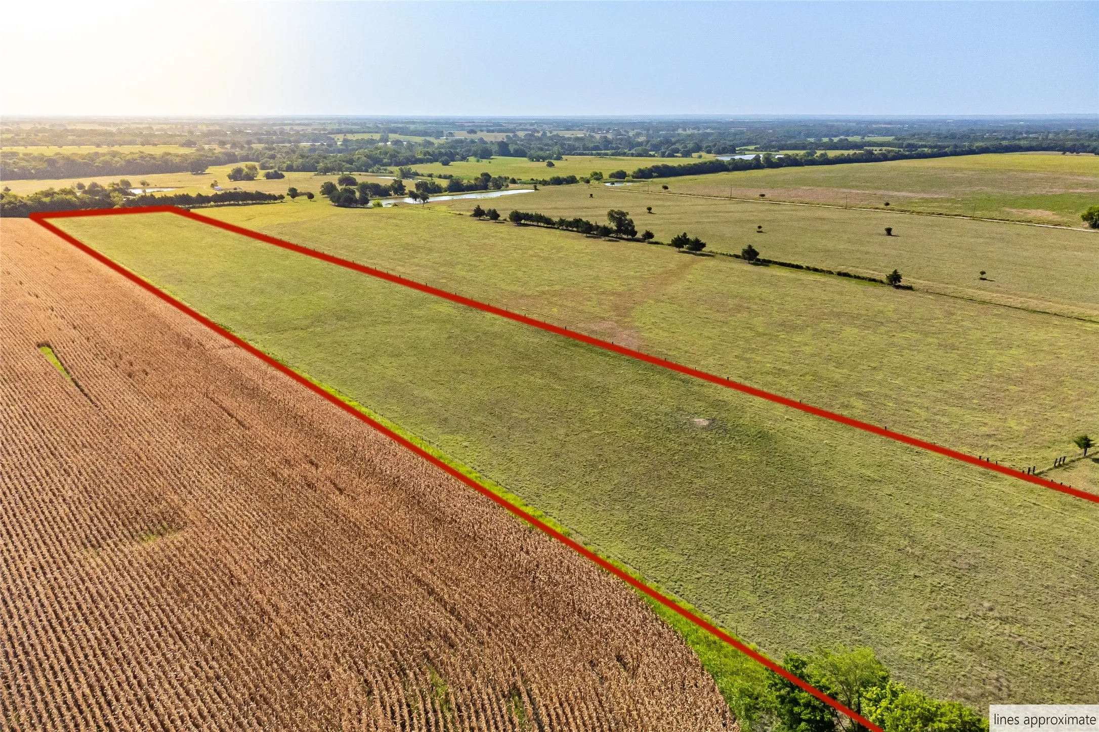 Unimproved Land For Sale in Fannin County , 1015 CR 5010, Blue Ridge, Texas 75424, 0, 0, Garage spaces, 0 Sqft, built in 0, mls#21352335, Real Estate Agent in Blue Ridge, Homes For Sale in Fannin county, Homes For Sale in Blue Ridge, Realtor in Blue Ridge Texas, Real Estate Brokerage Independent Realty Texas, Luminita Cordes Realtor