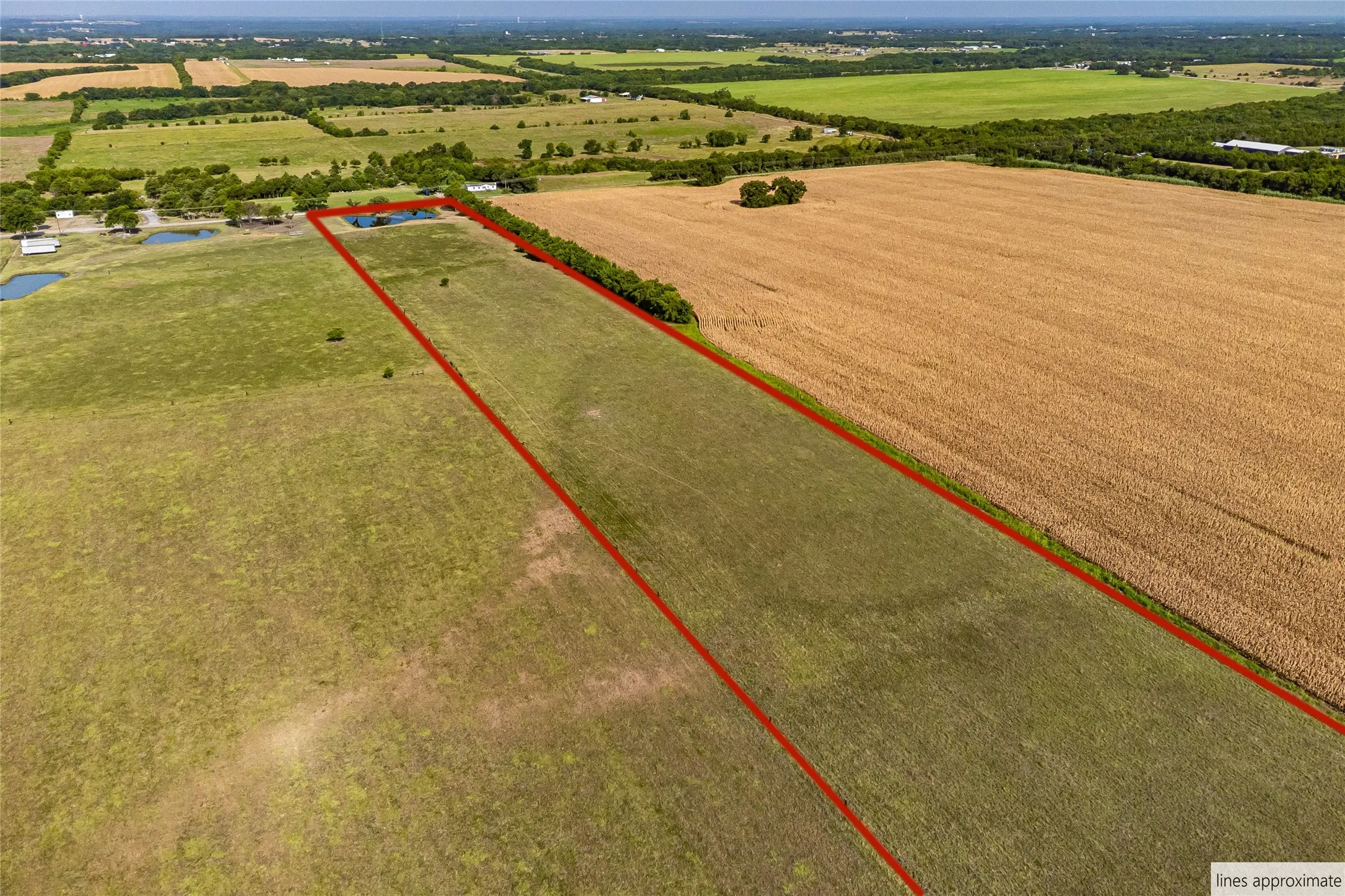 Unimproved Land For Sale in Fannin County , 1015 CR 5010, Blue Ridge, Texas 75424, 0, 0, Garage spaces, 0 Sqft, built in 0, mls#21352335, Real Estate Agent in Blue Ridge, Homes For Sale in Fannin county, Homes For Sale in Blue Ridge, Realtor in Blue Ridge Texas, Real Estate Brokerage Independent Realty Texas, Luminita Cordes Realtor