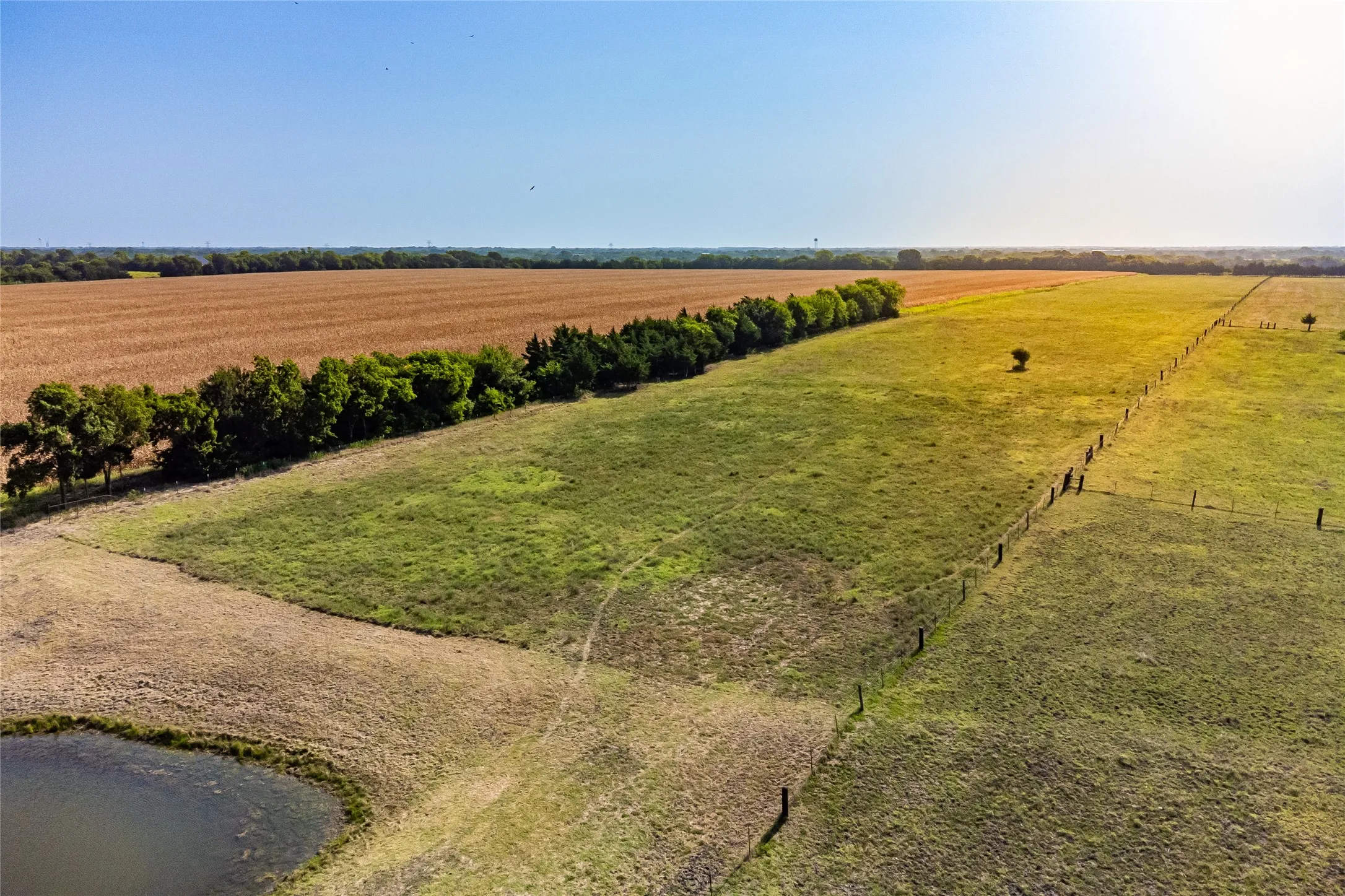 Unimproved Land For Sale in Fannin County , 1015 CR 5010, Blue Ridge, Texas 75424, 0, 0, Garage spaces, 0 Sqft, built in 0, mls#21352335, Real Estate Agent in Blue Ridge, Homes For Sale in Fannin county, Homes For Sale in Blue Ridge, Realtor in Blue Ridge Texas, Real Estate Brokerage Independent Realty Texas, Luminita Cordes Realtor