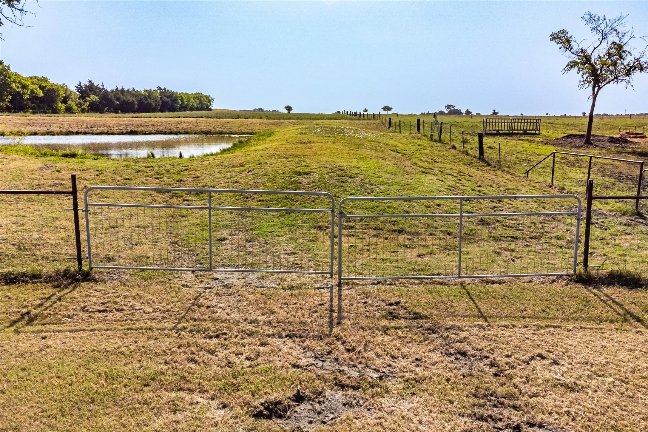 Unimproved Land For Sale in Fannin County , 1015 CR 5010, Blue Ridge, Texas 75424, 0, 0, Garage spaces, 0 Sqft, built in 0, mls#21352335, Real Estate Agent in Blue Ridge, Homes For Sale in Fannin county, Homes For Sale in Blue Ridge, Realtor in Blue Ridge Texas, Real Estate Brokerage Independent Realty Texas, Luminita Cordes Realtor