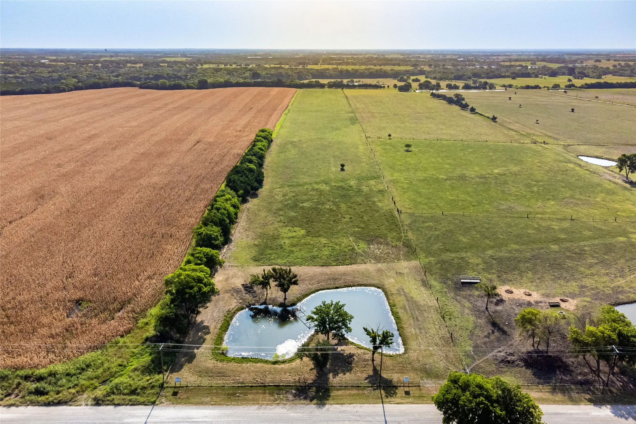 Unimproved Land For Sale in Fannin County , 1015 CR 5010, Blue Ridge, Texas 75424, 0, 0, Garage spaces, 0 Sqft, built in 0, mls#21352335, Real Estate Agent in Blue Ridge, Homes For Sale in Fannin county, Homes For Sale in Blue Ridge, Realtor in Blue Ridge Texas, Real Estate Brokerage Independent Realty Texas, Luminita Cordes Realtor