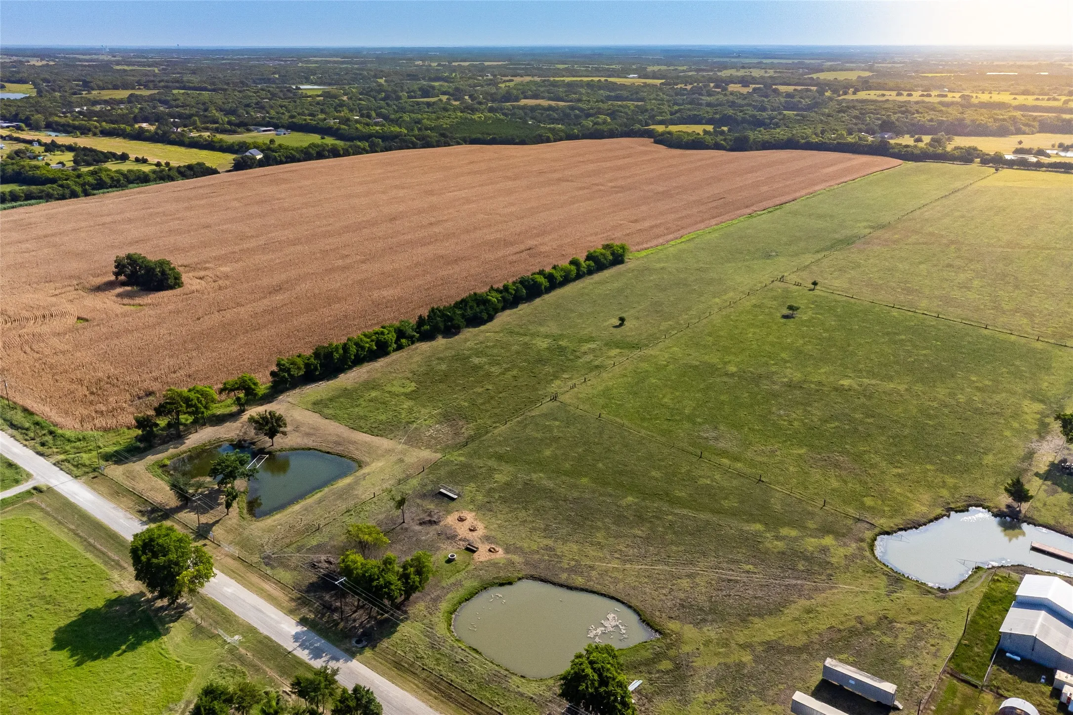 Unimproved Land For Sale in Fannin County , 1015 CR 5010, Blue Ridge, Texas 75424, 0, 0, Garage spaces, 0 Sqft, built in 0, mls#21352335, Real Estate Agent in Blue Ridge, Homes For Sale in Fannin county, Homes For Sale in Blue Ridge, Realtor in Blue Ridge Texas, Real Estate Brokerage Independent Realty Texas, Luminita Cordes Realtor
