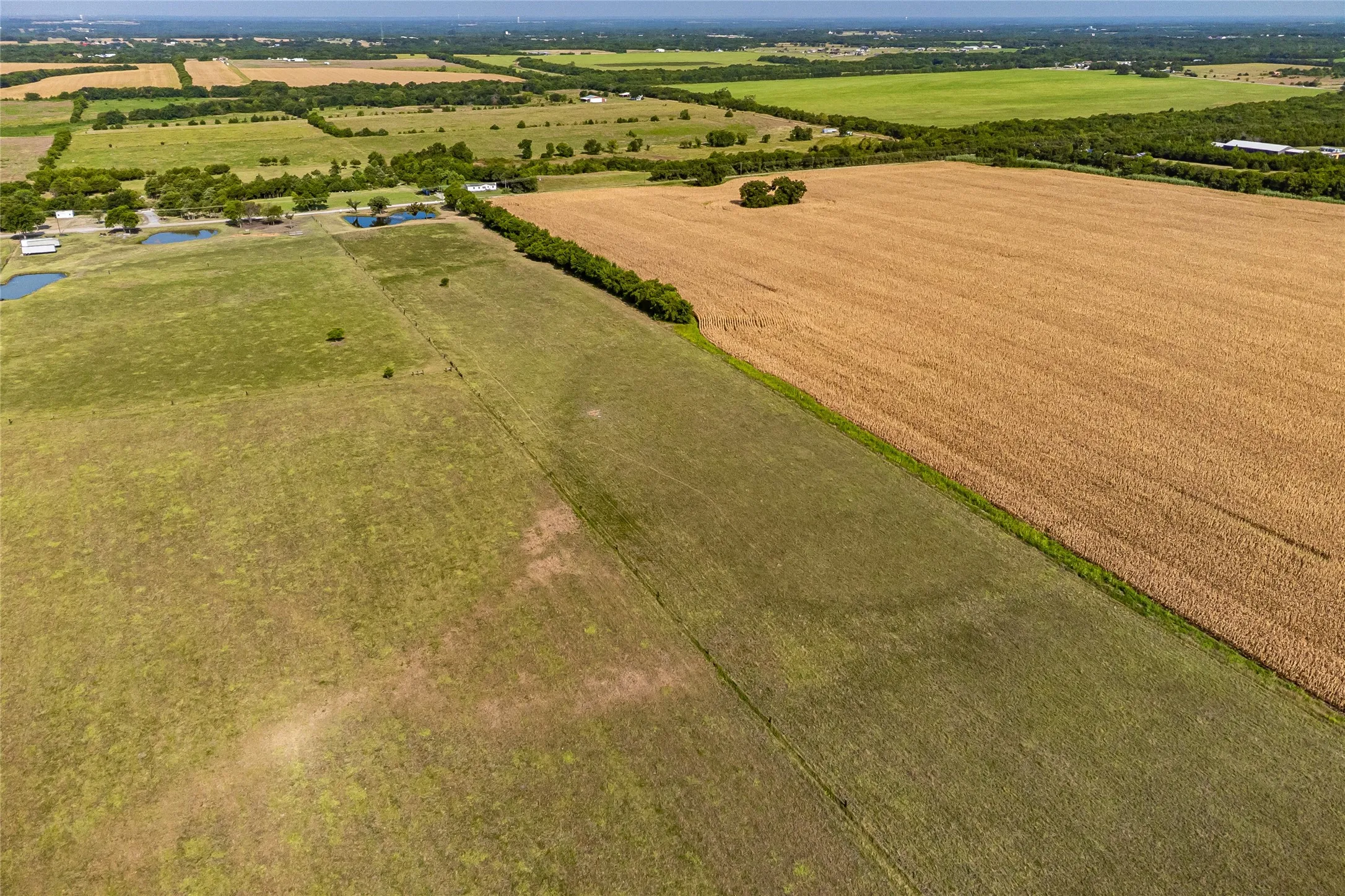 Unimproved Land For Sale in Fannin County , 1015 CR 5010, Blue Ridge, Texas 75424, 0, 0, Garage spaces, 0 Sqft, built in 0, mls#21352335, Real Estate Agent in Blue Ridge, Homes For Sale in Fannin county, Homes For Sale in Blue Ridge, Realtor in Blue Ridge Texas, Real Estate Brokerage Independent Realty Texas, Luminita Cordes Realtor