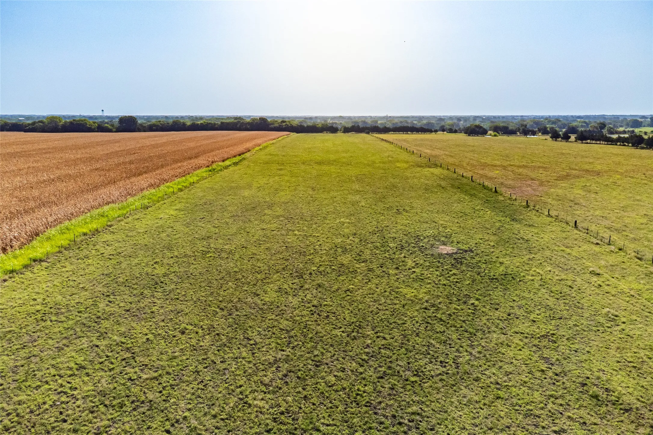 Unimproved Land For Sale in Fannin County , 1015 CR 5010, Blue Ridge, Texas 75424, 0, 0, Garage spaces, 0 Sqft, built in 0, mls#21352335, Real Estate Agent in Blue Ridge, Homes For Sale in Fannin county, Homes For Sale in Blue Ridge, Realtor in Blue Ridge Texas, Real Estate Brokerage Independent Realty Texas, Luminita Cordes Realtor