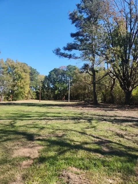 Improved Land For Sale in Red River (TX) County , TBD HWY 37 NORTH, Clarksville, Texas 75426, 0, 0, Garage spaces, 0 Sqft, built in 0, Price $55,000, mls#21352356, Real Estate Agent in Clarksville, Homes For Sale in Red River (TX) county, Homes For Sale in Clarksville, Realtor in Clarksville Texas, Real Estate Brokerage Independent Realty Texas, Luminita Cordes Realtor