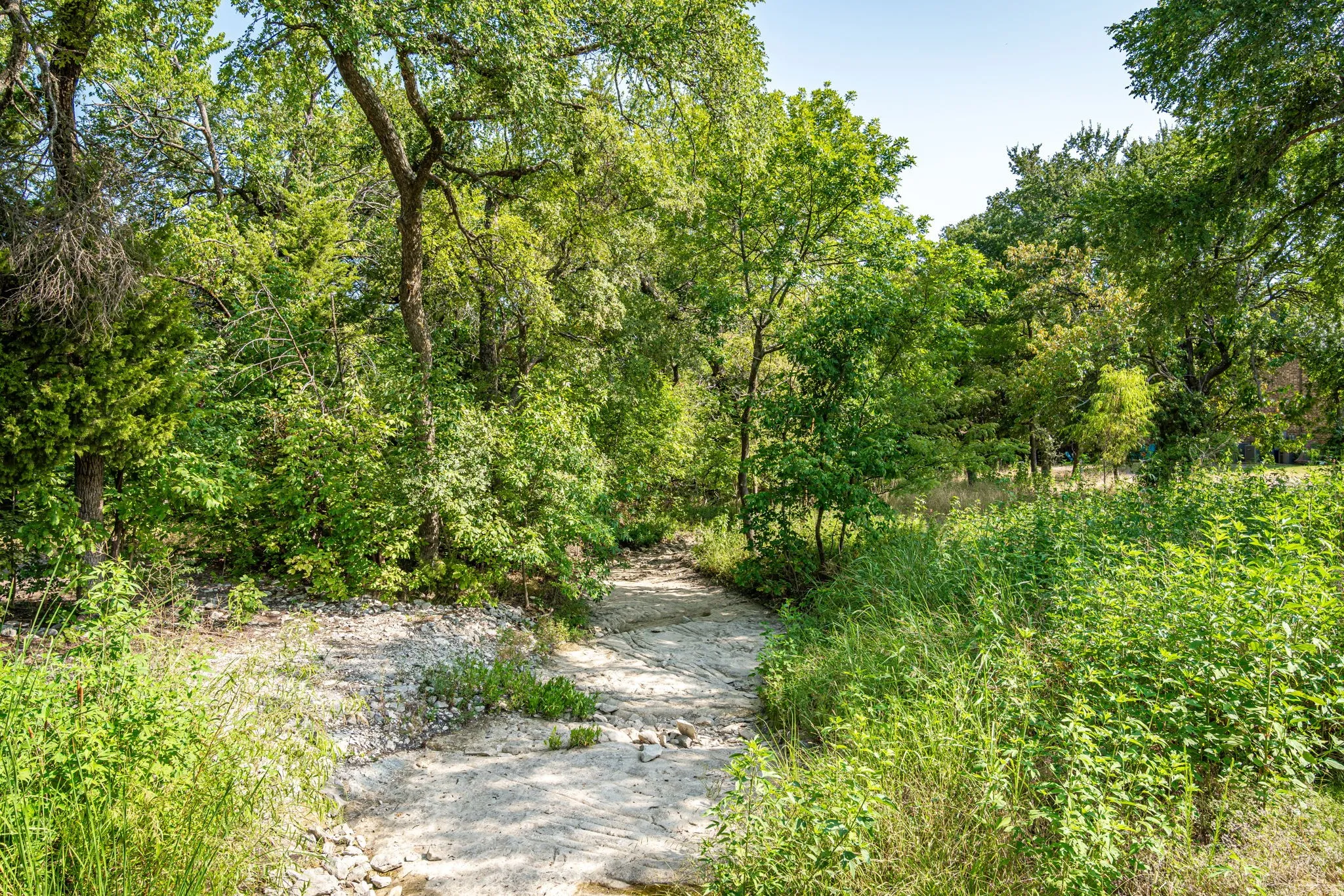 Creek near some of the walking/jogging paths.