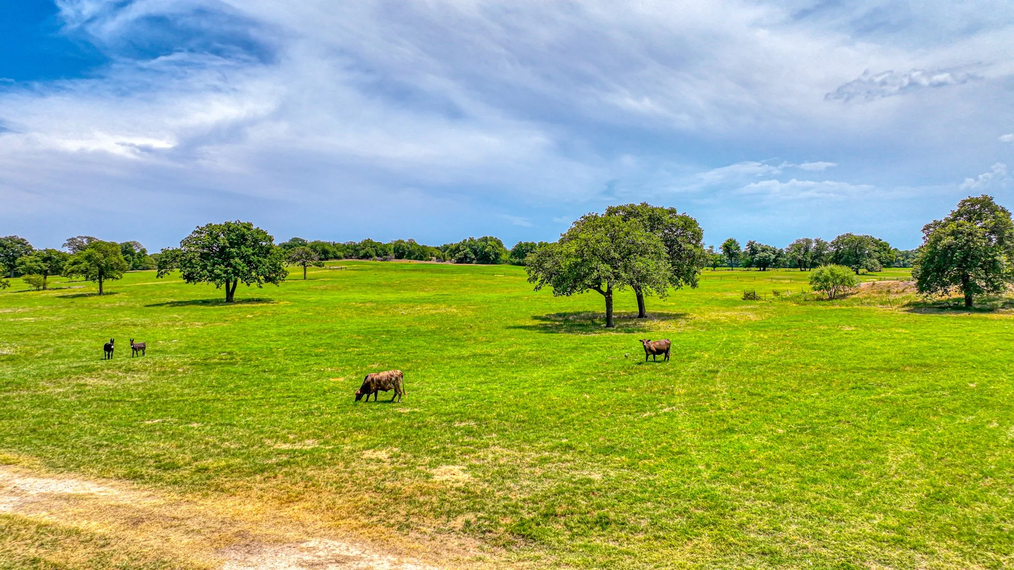 Unimproved Land For Sale in Parker County , Tract 2 three Quarter Loop, Poolville, Texas 76487, 0, 0, Garage spaces, 0 Sqft, built in 0, Price $300,000, mls#21351442, Real Estate Agent in Poolville, Homes For Sale in Parker county, Homes For Sale in Poolville, Realtor in Poolville Texas, Real Estate Brokerage Independent Realty Texas, Luminita Cordes Realtor