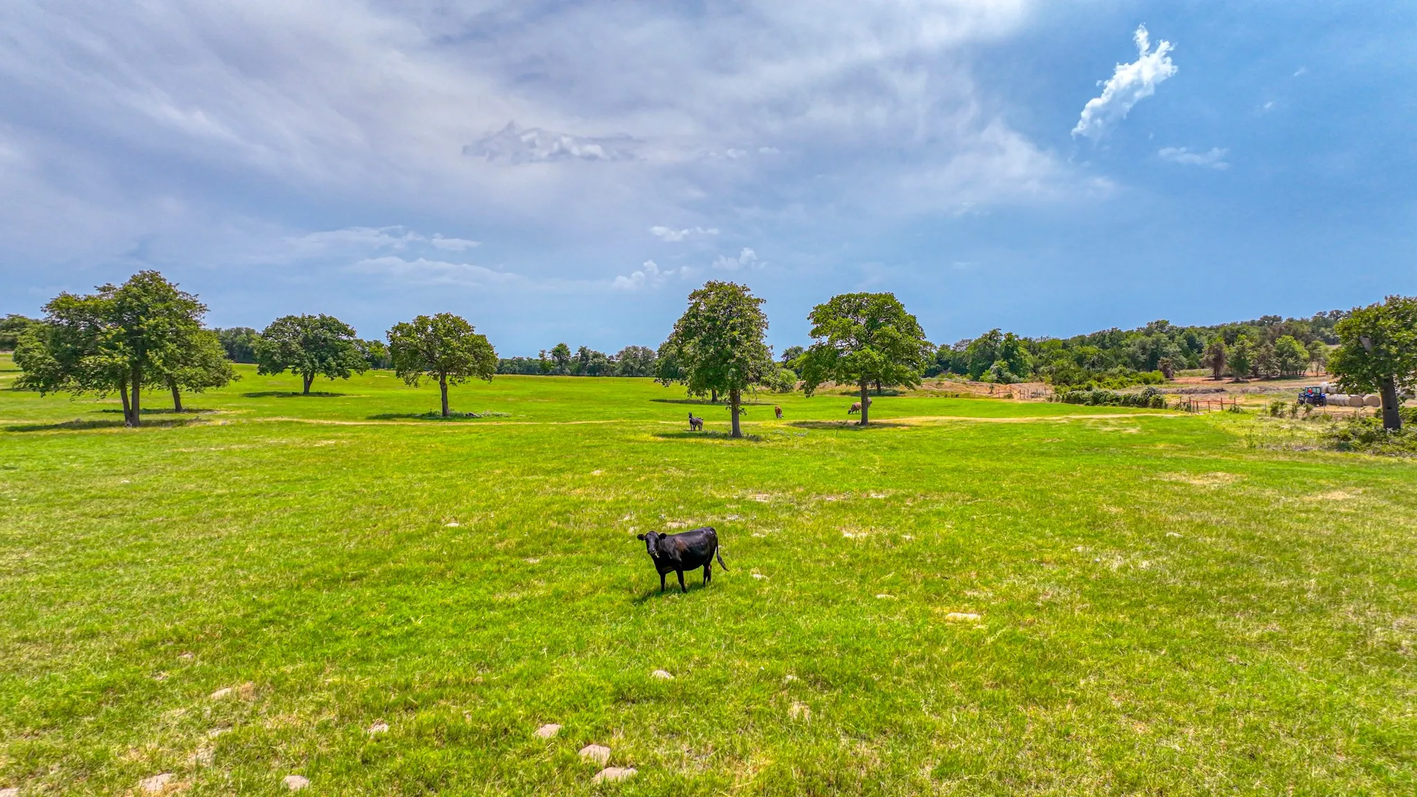 Unimproved Land For Sale in Parker County , Tract 2 three Quarter Loop, Poolville, Texas 76487, 0, 0, Garage spaces, 0 Sqft, built in 0, Price $300,000, mls#21351442, Real Estate Agent in Poolville, Homes For Sale in Parker county, Homes For Sale in Poolville, Realtor in Poolville Texas, Real Estate Brokerage Independent Realty Texas, Luminita Cordes Realtor