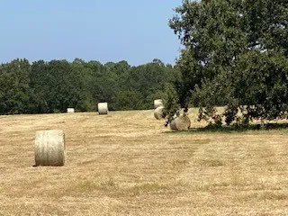 Single Family Residence For Sale in Rains County , 2141 Rs County Road 2250, Alba, Texas 75410, 3 Bedroom, 2 Bathroom, 2 Garage spaces, 2,171 Sqft, built in 2024, mls#21352383, Real Estate Agent in Alba, Homes For Sale in Rains county, Homes For Sale in Alba, Realtor in Alba Texas, Real Estate Brokerage Independent Realty Texas, Luminita Cordes Realtor