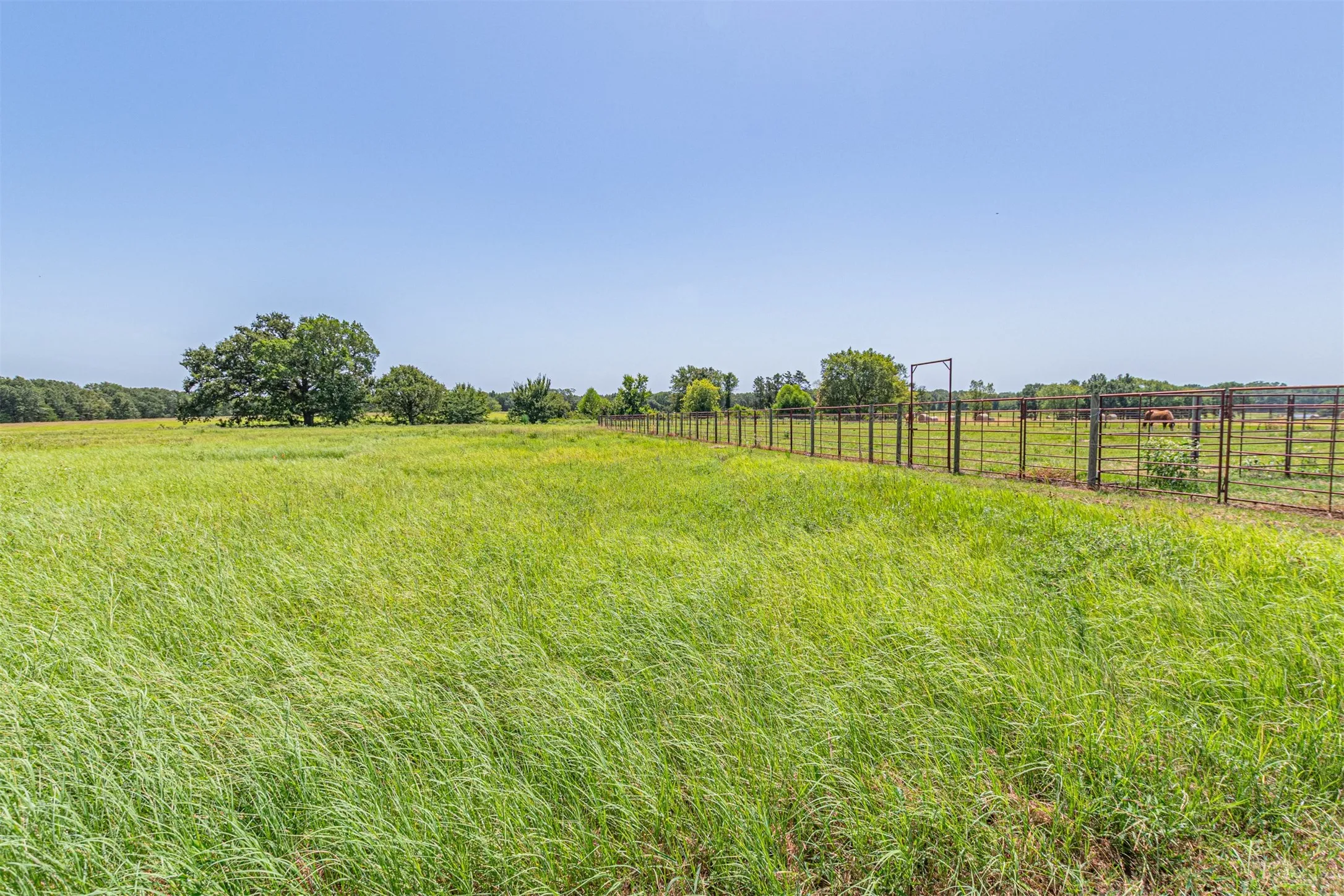 Single Family Residence For Sale in Rains County , 2141 Rs County Road 2250, Alba, Texas 75410, 3 Bedroom, 2 Bathroom, 2 Garage spaces, 2,171 Sqft, built in 2024, mls#21352383, Real Estate Agent in Alba, Homes For Sale in Rains county, Homes For Sale in Alba, Realtor in Alba Texas, Real Estate Brokerage Independent Realty Texas, Luminita Cordes Realtor