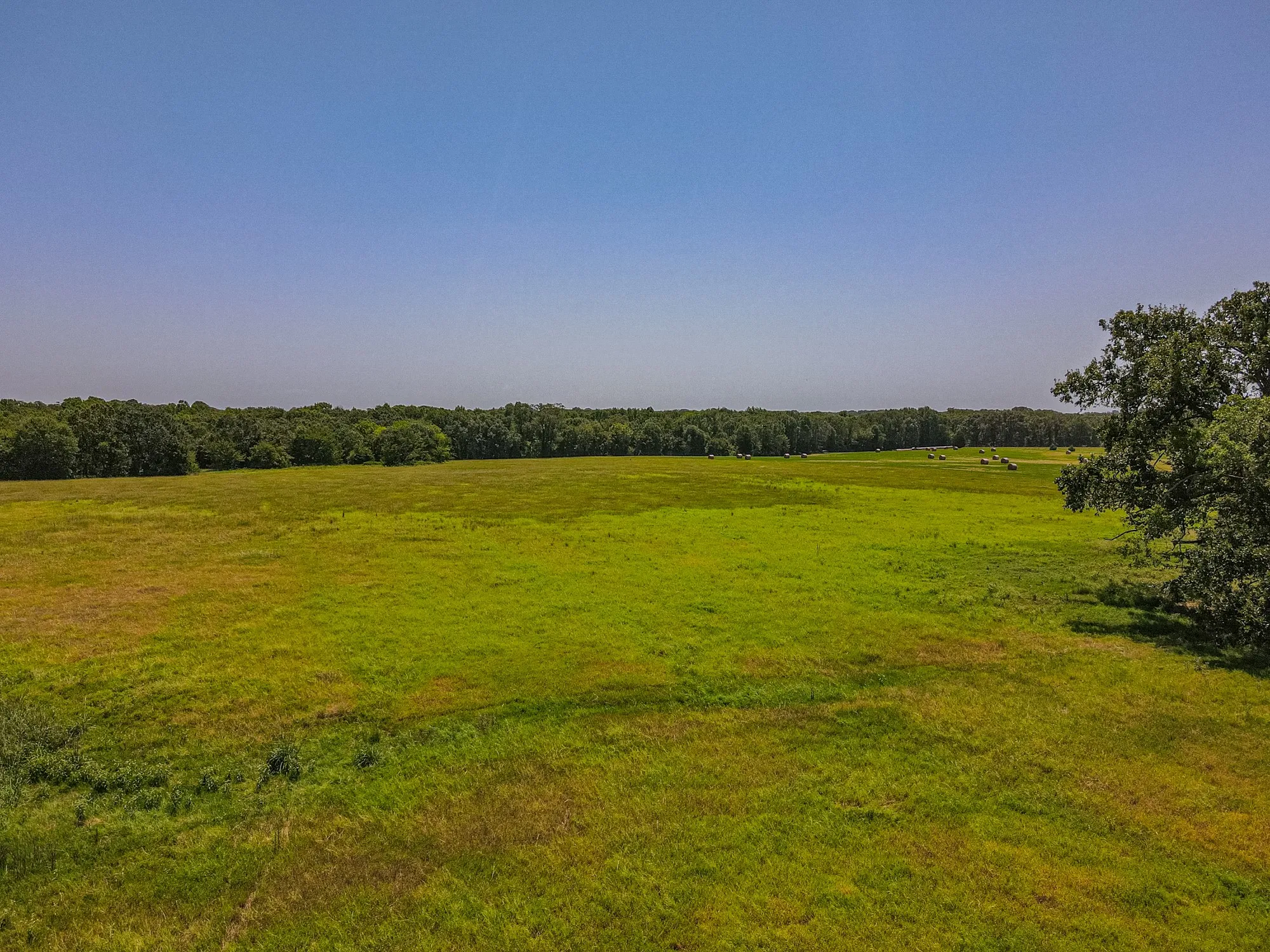 Single Family Residence For Sale in Rains County , 2141 Rs County Road 2250, Alba, Texas 75410, 3 Bedroom, 2 Bathroom, 2 Garage spaces, 2,171 Sqft, built in 2024, mls#21352383, Real Estate Agent in Alba, Homes For Sale in Rains county, Homes For Sale in Alba, Realtor in Alba Texas, Real Estate Brokerage Independent Realty Texas, Luminita Cordes Realtor