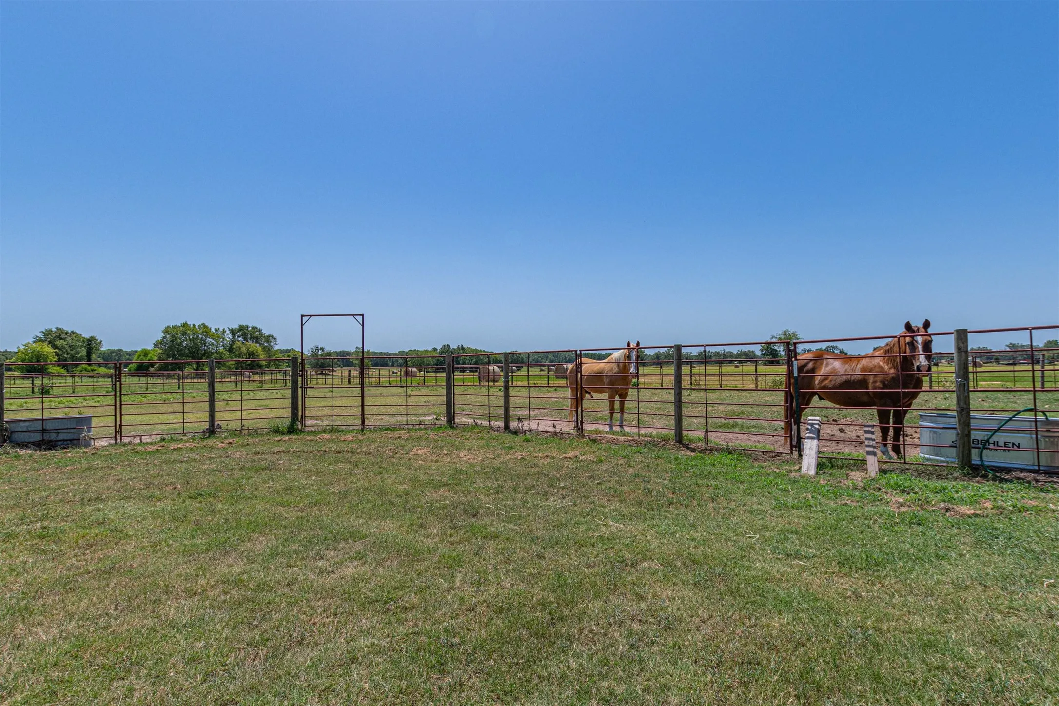 Single Family Residence For Sale in Rains County , 2141 Rs County Road 2250, Alba, Texas 75410, 3 Bedroom, 2 Bathroom, 2 Garage spaces, 2,171 Sqft, built in 2024, mls#21352383, Real Estate Agent in Alba, Homes For Sale in Rains county, Homes For Sale in Alba, Realtor in Alba Texas, Real Estate Brokerage Independent Realty Texas, Luminita Cordes Realtor