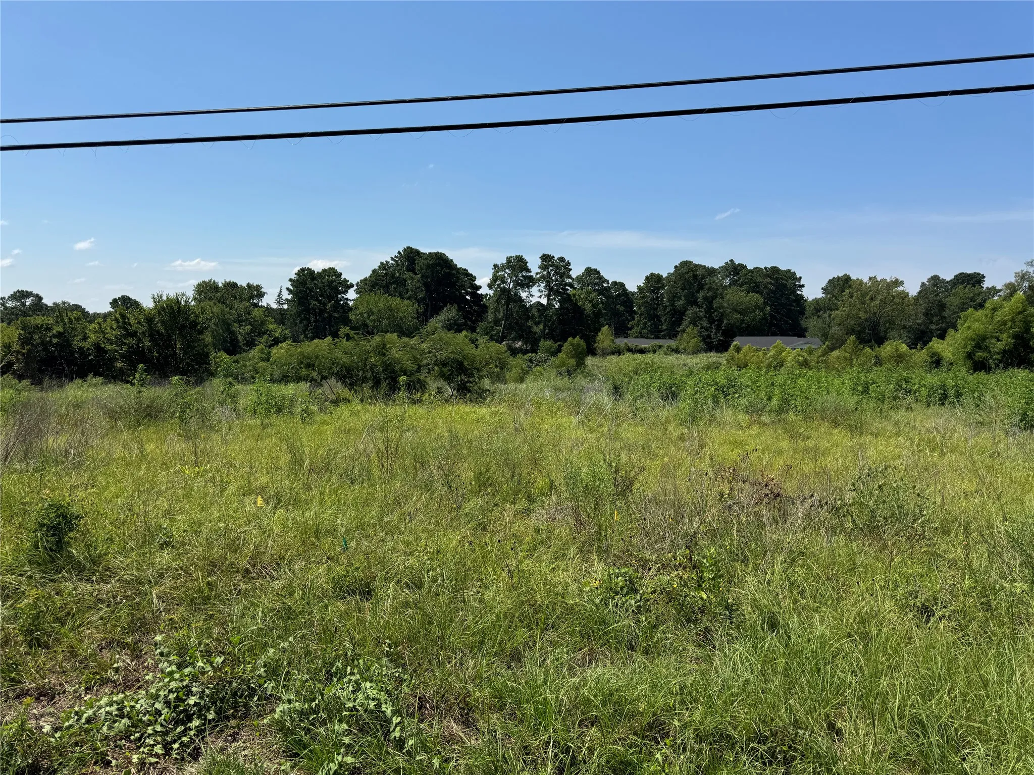 Unimproved Land For Sale in Anderson County , 2700 S Loop 256, Palestine, Texas 75801, 0, 0, Garage spaces, 0 Sqft, built in 2008, Price $3,500,000, mls#21352413, Real Estate Agent in Palestine, Homes For Sale in Anderson county, Homes For Sale in Palestine, Realtor in Palestine Texas, Real Estate Brokerage Independent Realty Texas, Luminita Cordes Realtor