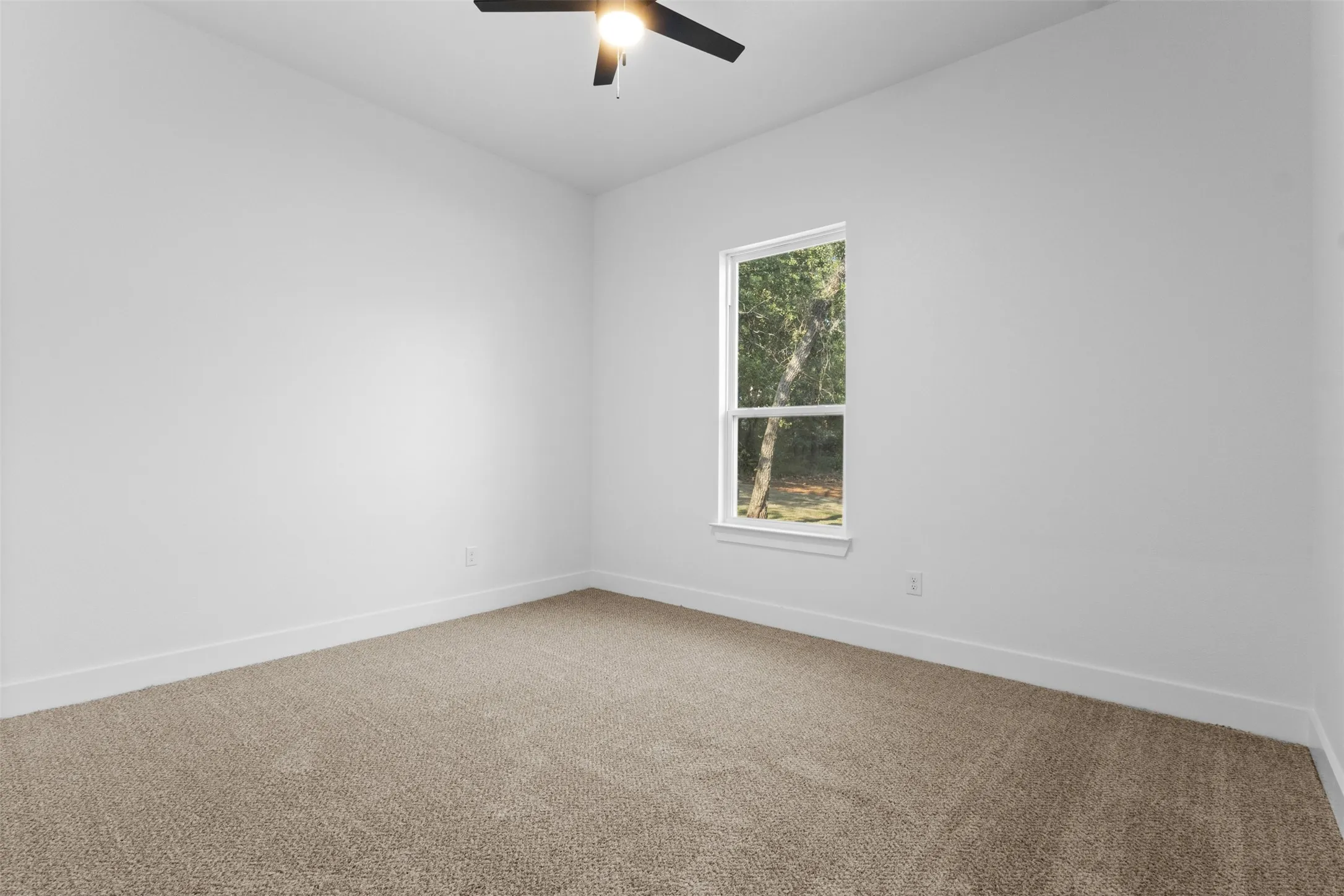 Neutral wall paint, carpet flooring, a ceiling fan with integrated lighting, and a single window