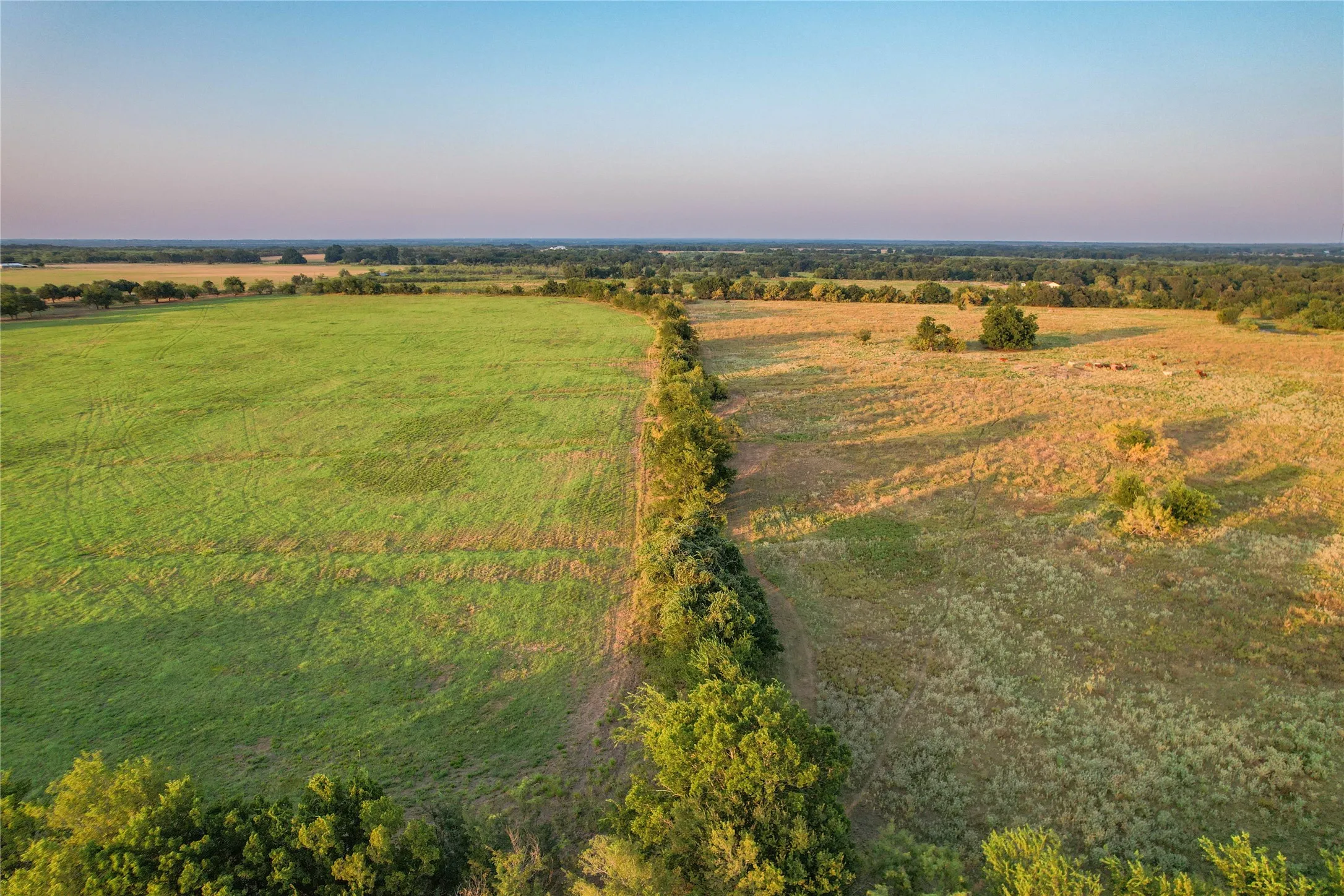 Single Family Residence For Sale in Limestone County , 1829 W FM 1246, Thornton, Texas 76687, 3 Bedrooms, 3 Bathrooms, Garage spaces, 2,512 Sqft, built in 1993, Price $1,650,000, mls#21352515, Real Estate Agent in Thornton, Homes For Sale in Limestone county, Homes For Sale in Thornton, Realtor in Thornton Texas, Real Estate Brokerage Independent Realty Texas, Luminita Cordes Realtor