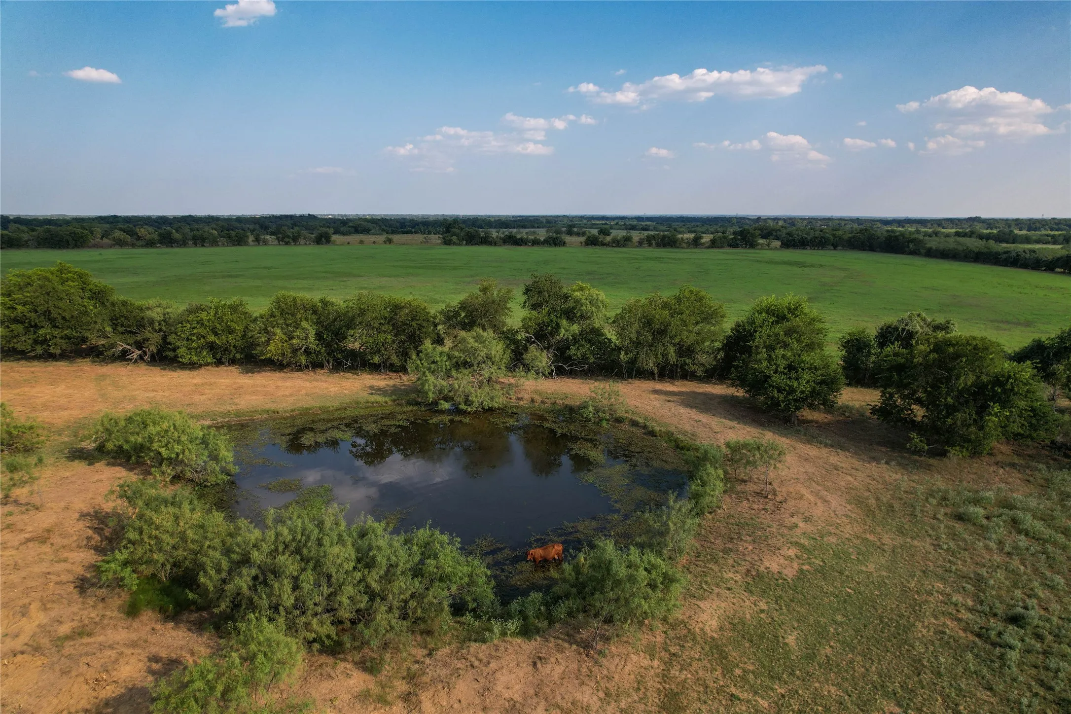 Single Family Residence For Sale in Limestone County , 1829 W FM 1246, Thornton, Texas 76687, 3 Bedrooms, 3 Bathrooms, Garage spaces, 2,512 Sqft, built in 1993, Price $1,650,000, mls#21352515, Real Estate Agent in Thornton, Homes For Sale in Limestone county, Homes For Sale in Thornton, Realtor in Thornton Texas, Real Estate Brokerage Independent Realty Texas, Luminita Cordes Realtor