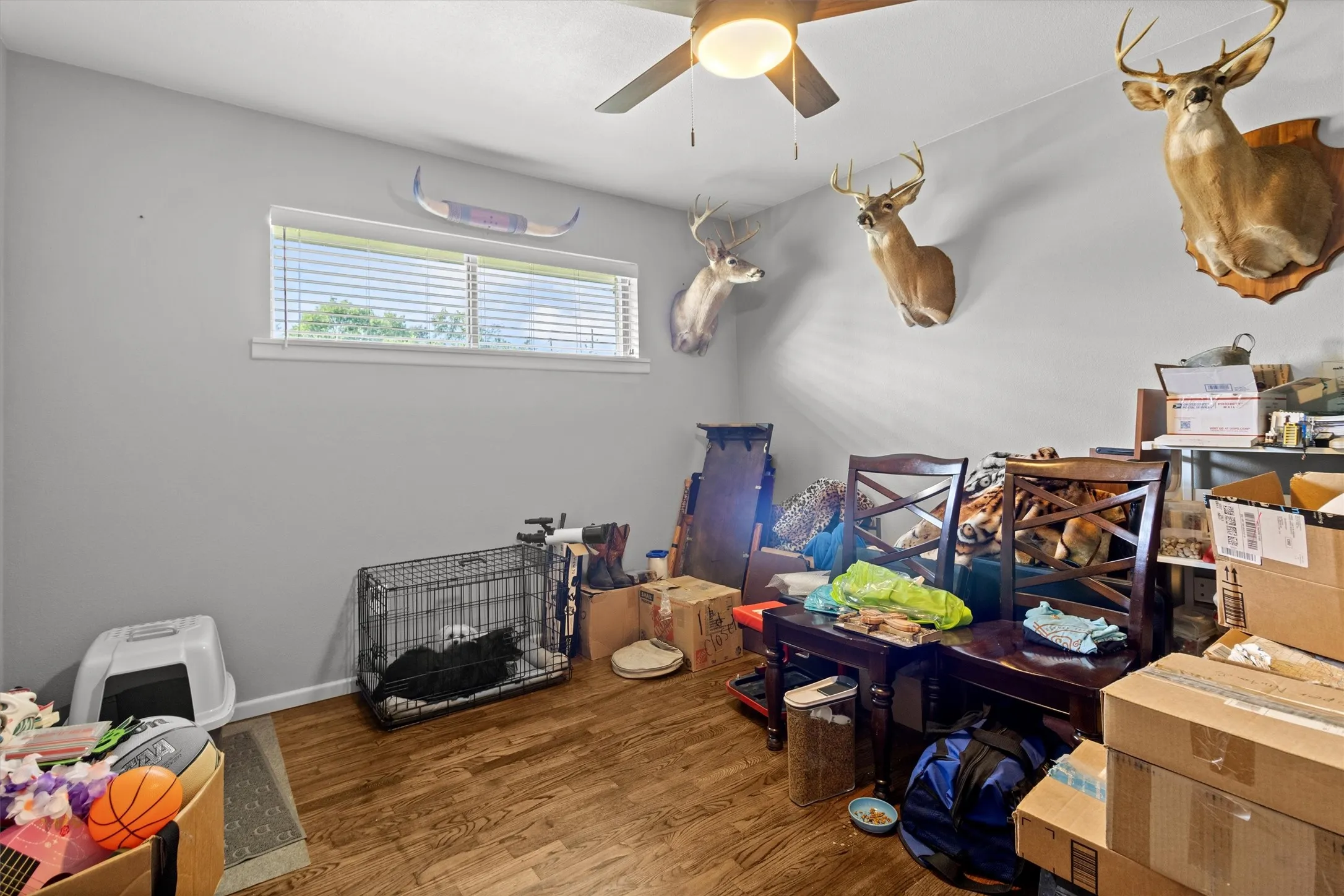 Single Family Residence For Sale in Wood County , 501 Linda Kay Drive, Winnsboro, Texas 75494, 3 Bedroom, 2 Bathroom, Garage spaces, 1,376 Sqft, built in 1965, mls#21352572, Real Estate Agent in Winnsboro, Homes For Sale in Wood county, Homes For Sale in Winnsboro, Realtor in Winnsboro Texas, Real Estate Brokerage Independent Realty Texas, Luminita Cordes Realtor