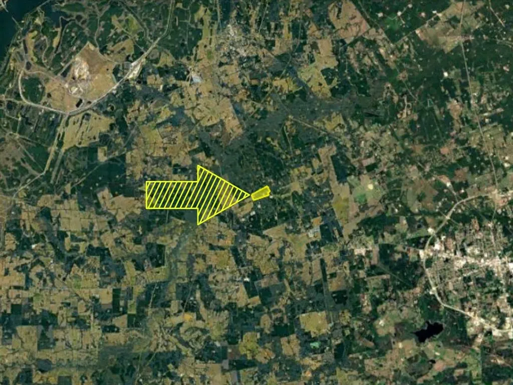 Unimproved Land For Sale in Panola County , 0 County Rd 224, Carthage, Texas 75633, 0, 0, Garage spaces, 0 Sqft, built in 0, mls#21352568, Real Estate Agent in Carthage, Homes For Sale in Panola county, Homes For Sale in Carthage, Realtor in Carthage Texas, Real Estate Brokerage Independent Realty Texas, Luminita Cordes Realtor