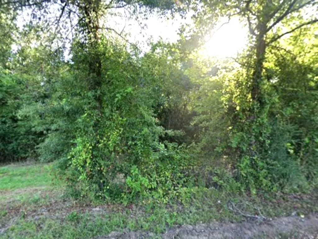 Unimproved Land For Sale in Panola County , 0 County Rd 224, Carthage, Texas 75633, 0, 0, Garage spaces, 0 Sqft, built in 0, mls#21352568, Real Estate Agent in Carthage, Homes For Sale in Panola county, Homes For Sale in Carthage, Realtor in Carthage Texas, Real Estate Brokerage Independent Realty Texas, Luminita Cordes Realtor