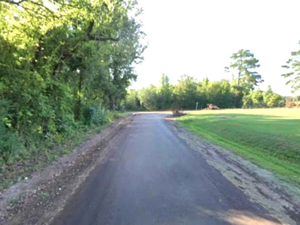 Unimproved Land For Sale in Panola County , 0 County Rd 224, Carthage, Texas 75633, 0, 0, Garage spaces, 0 Sqft, built in 0, mls#21352568, Real Estate Agent in Carthage, Homes For Sale in Panola county, Homes For Sale in Carthage, Realtor in Carthage Texas, Real Estate Brokerage Independent Realty Texas, Luminita Cordes Realtor