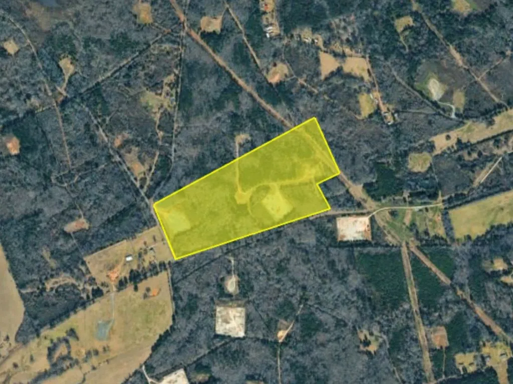 Unimproved Land For Sale in Panola County , 0 County Rd 224, Carthage, Texas 75633, 0, 0, Garage spaces, 0 Sqft, built in 0, mls#21352568, Real Estate Agent in Carthage, Homes For Sale in Panola county, Homes For Sale in Carthage, Realtor in Carthage Texas, Real Estate Brokerage Independent Realty Texas, Luminita Cordes Realtor