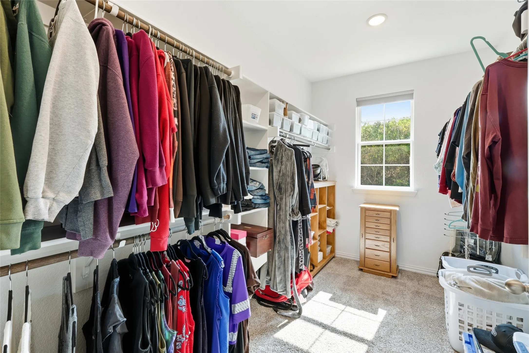 Walk-in closet featuring carpet flooring, a single window, recessed lighting, and extensive built-in shelving with hanging rods