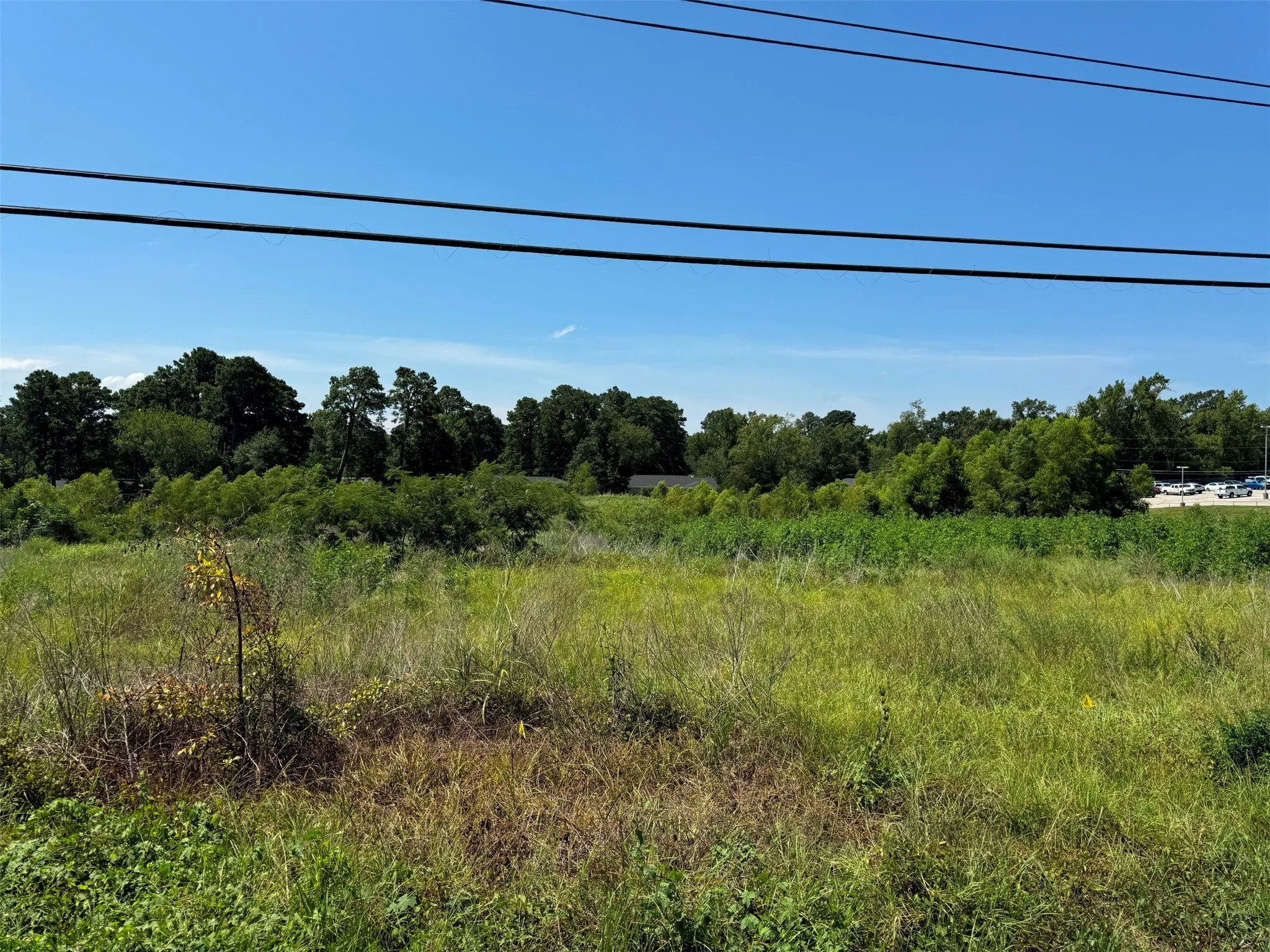 Unimproved Land For Sale in Anderson County , 2700 S Loop 256, Palestine, Texas 75801, 0, 0, Garage spaces, 0 Sqft, built in 0, Price $1,500,000, mls#21352587, Real Estate Agent in Palestine, Homes For Sale in Anderson county, Homes For Sale in Palestine, Realtor in Palestine Texas, Real Estate Brokerage Independent Realty Texas, Luminita Cordes Realtor