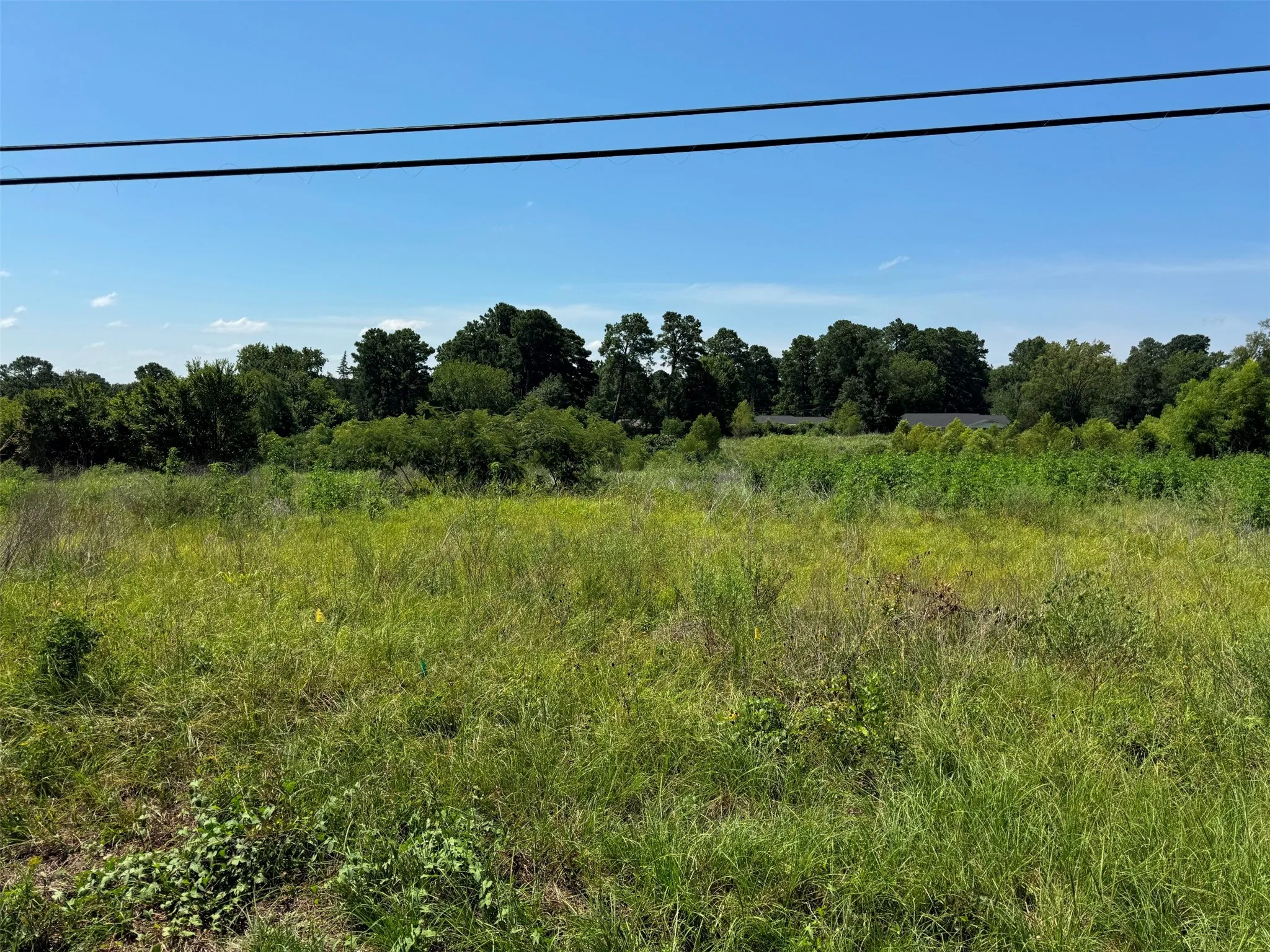 Unimproved Land For Sale in Anderson County , 2700 S Loop 256, Palestine, Texas 75801, 0, 0, Garage spaces, 0 Sqft, built in 0, Price $1,500,000, mls#21352587, Real Estate Agent in Palestine, Homes For Sale in Anderson county, Homes For Sale in Palestine, Realtor in Palestine Texas, Real Estate Brokerage Independent Realty Texas, Luminita Cordes Realtor