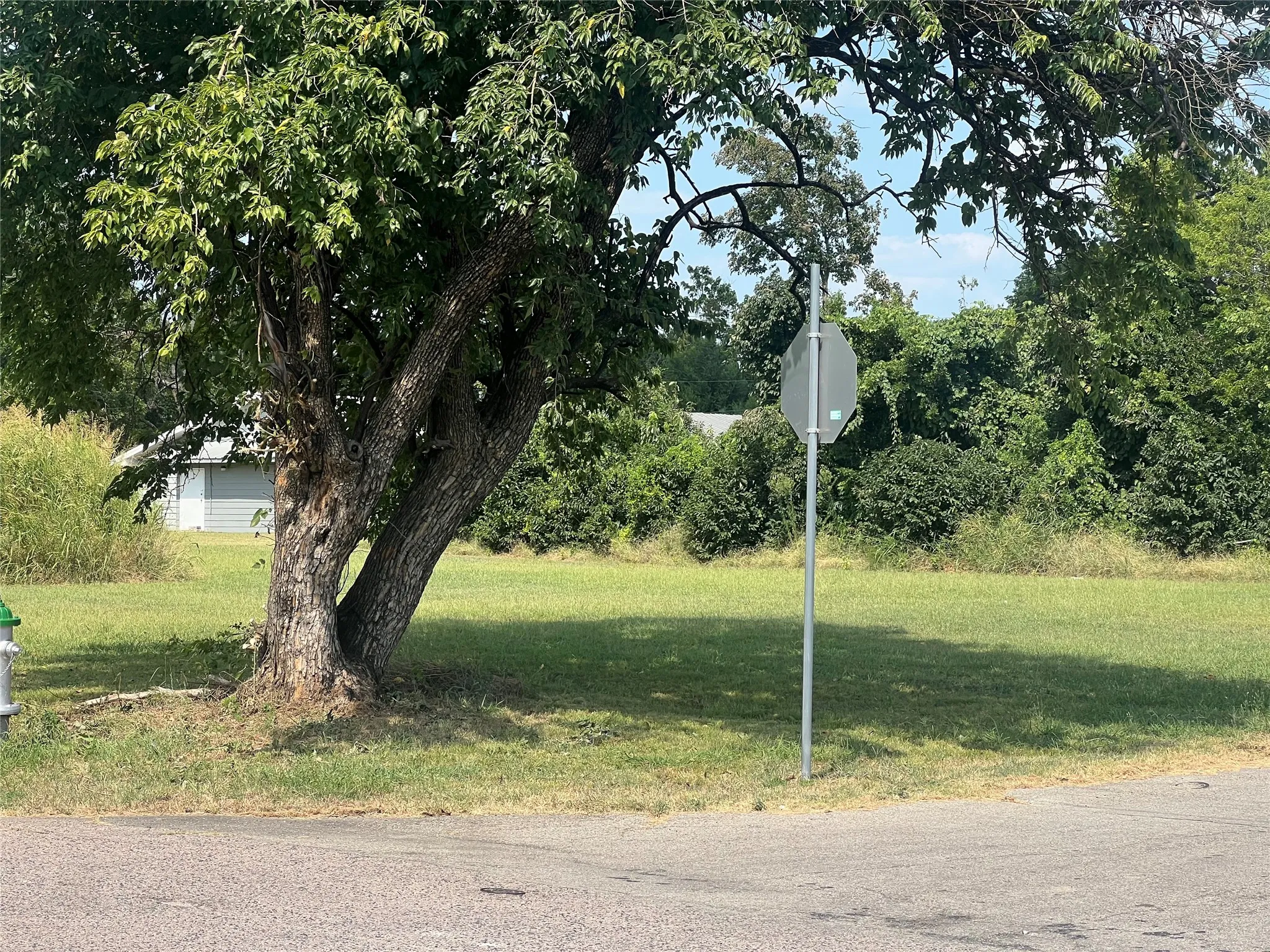 Unimproved Land For Sale in Fannin County , 1706 N Main Street, Bonham, Texas 75418, 0, 0, Garage spaces, 0 Sqft, built in 0, Price $40,000, mls#21352313, Real Estate Agent in Bonham, Homes For Sale in Fannin county, Homes For Sale in Bonham, Realtor in Bonham Texas, Real Estate Brokerage Independent Realty Texas, Luminita Cordes Realtor