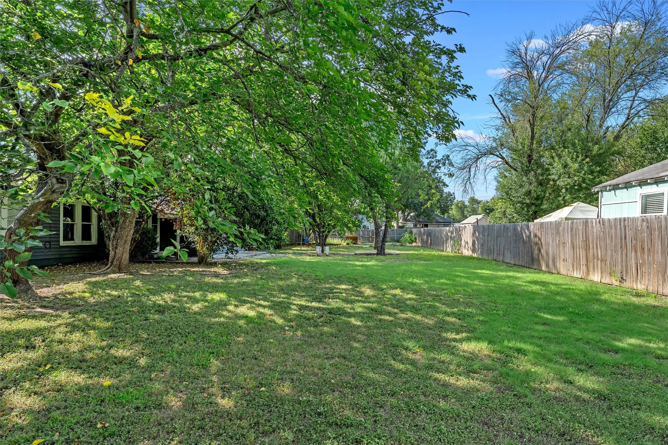 Expansive lawn area with mature trees and a wood privacy fence
